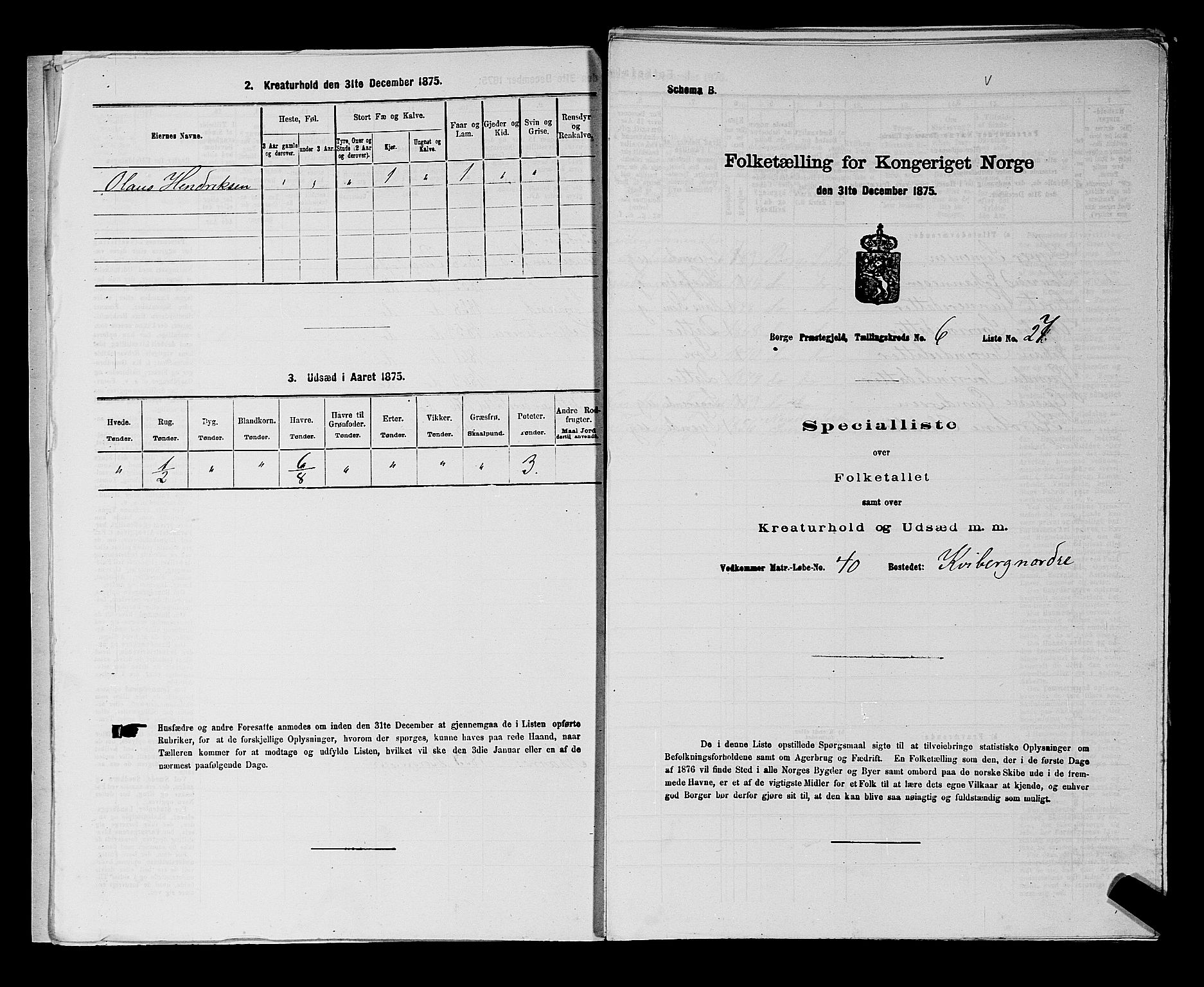 RA, 1875 census for 0113P Borge, 1875, p. 836