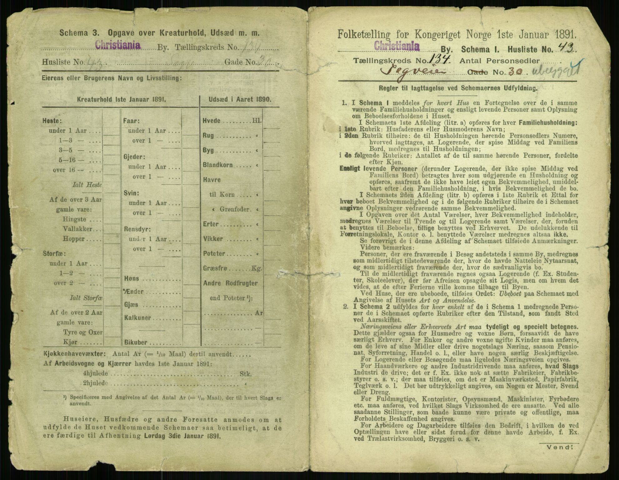 RA, 1891 census for 0301 Kristiania, 1891, p. 73503