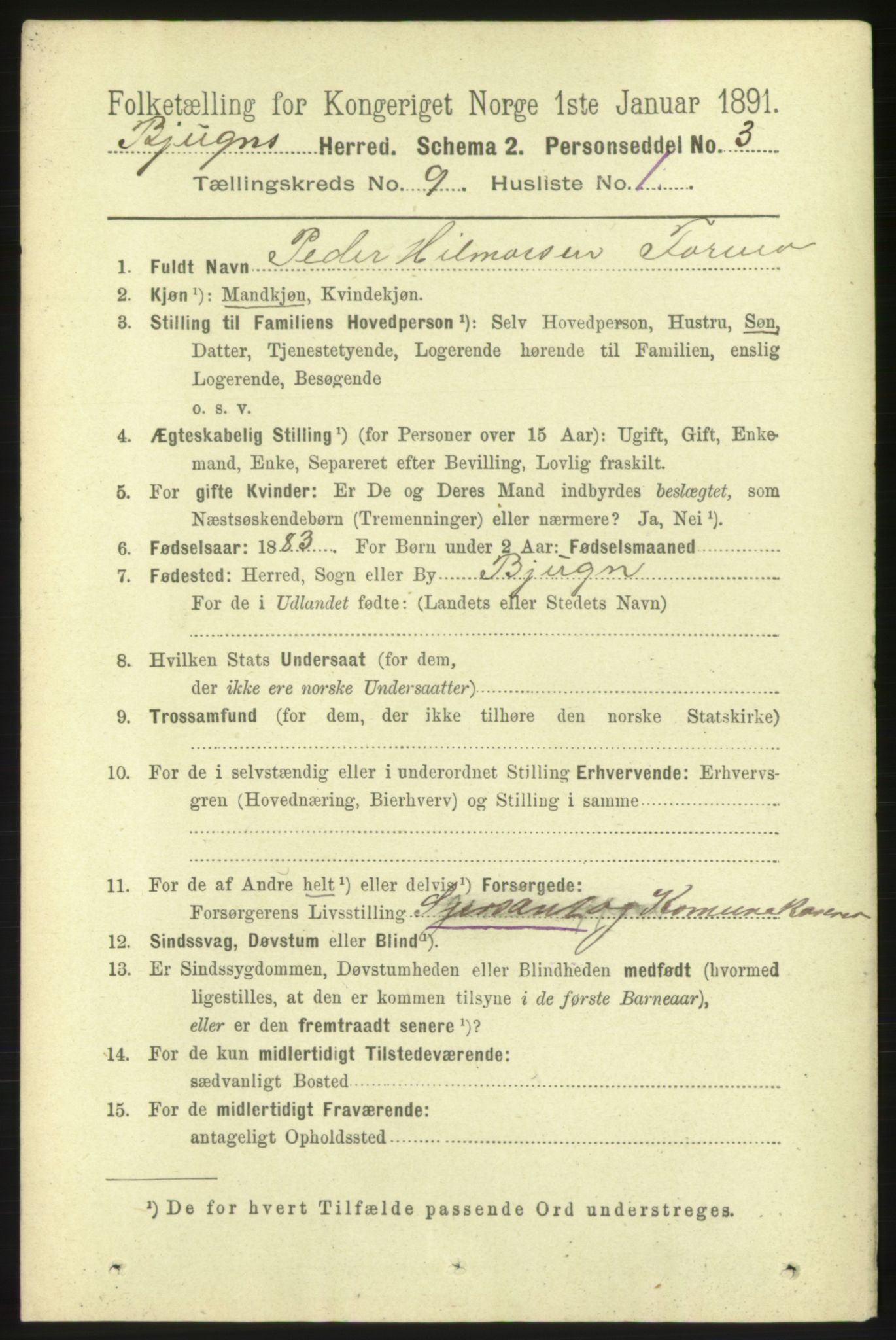 RA, 1891 census for 1627 Bjugn, 1891, p. 2385