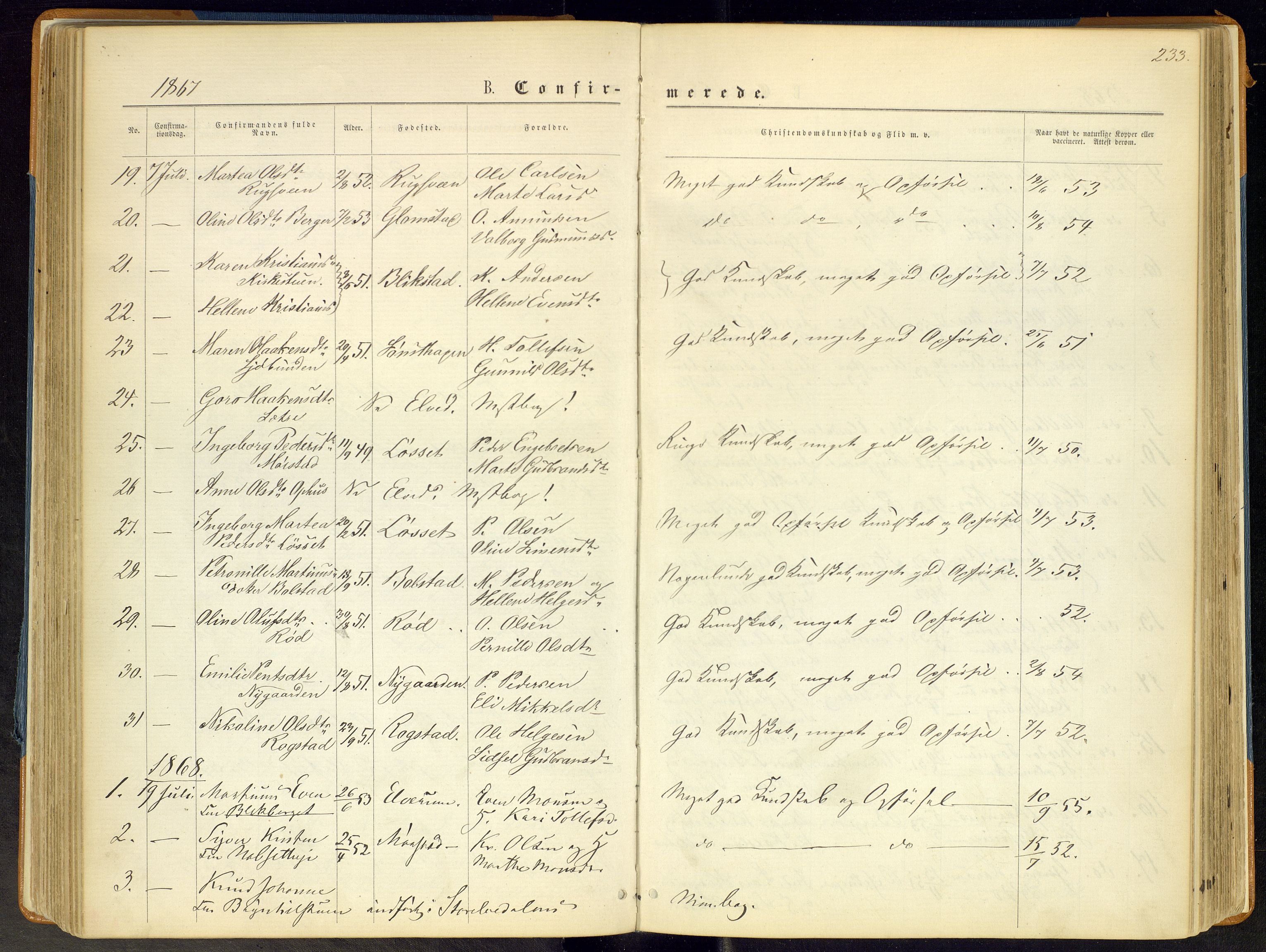 Åmot prestekontor, Hedmark, SAH/PREST-056/H/Ha/Haa/L0008: Parish register (official) no. 8, 1862-1875, p. 233