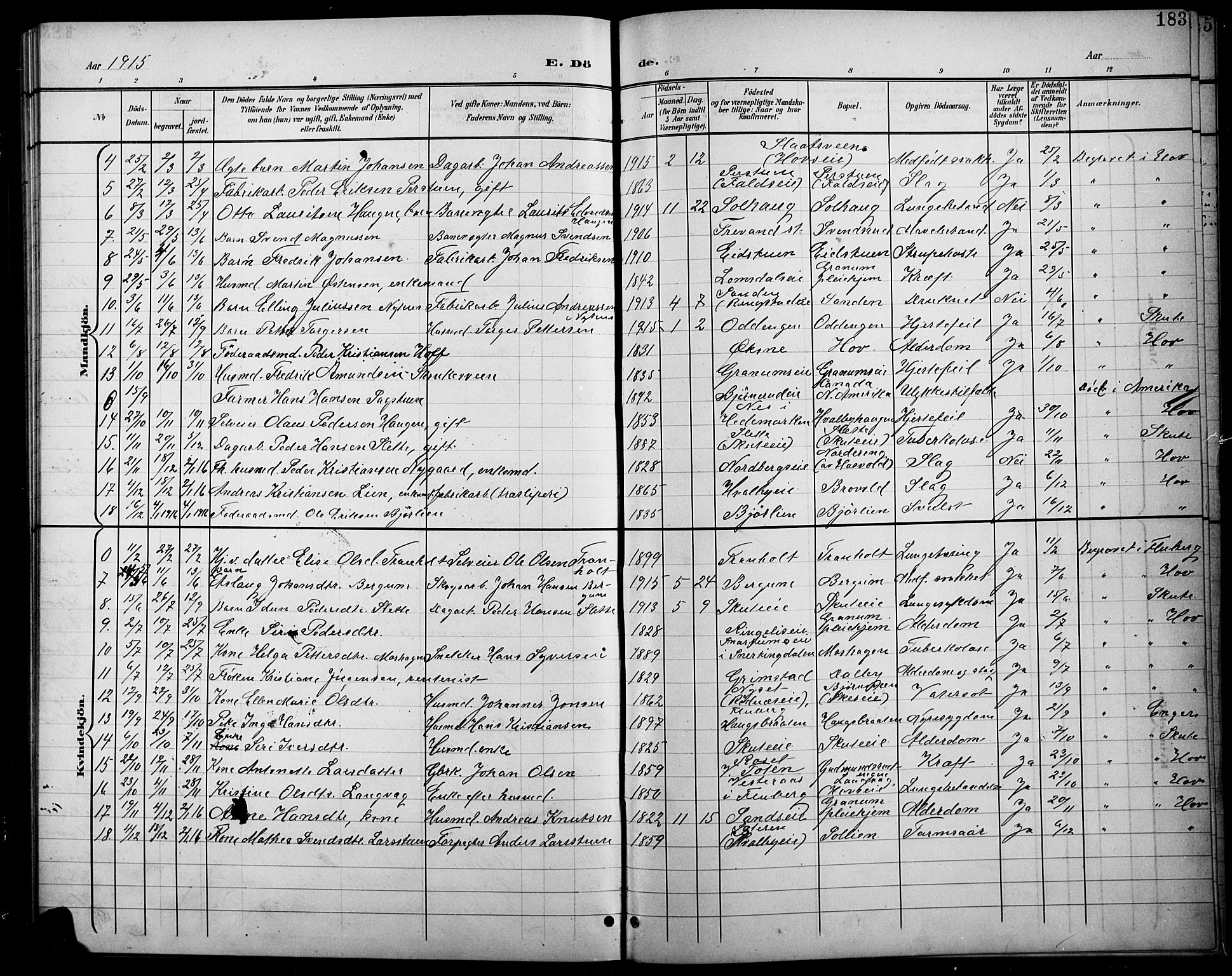 Søndre Land prestekontor, AV/SAH-PREST-122/L/L0004: Parish register (copy) no. 4, 1901-1915, p. 183