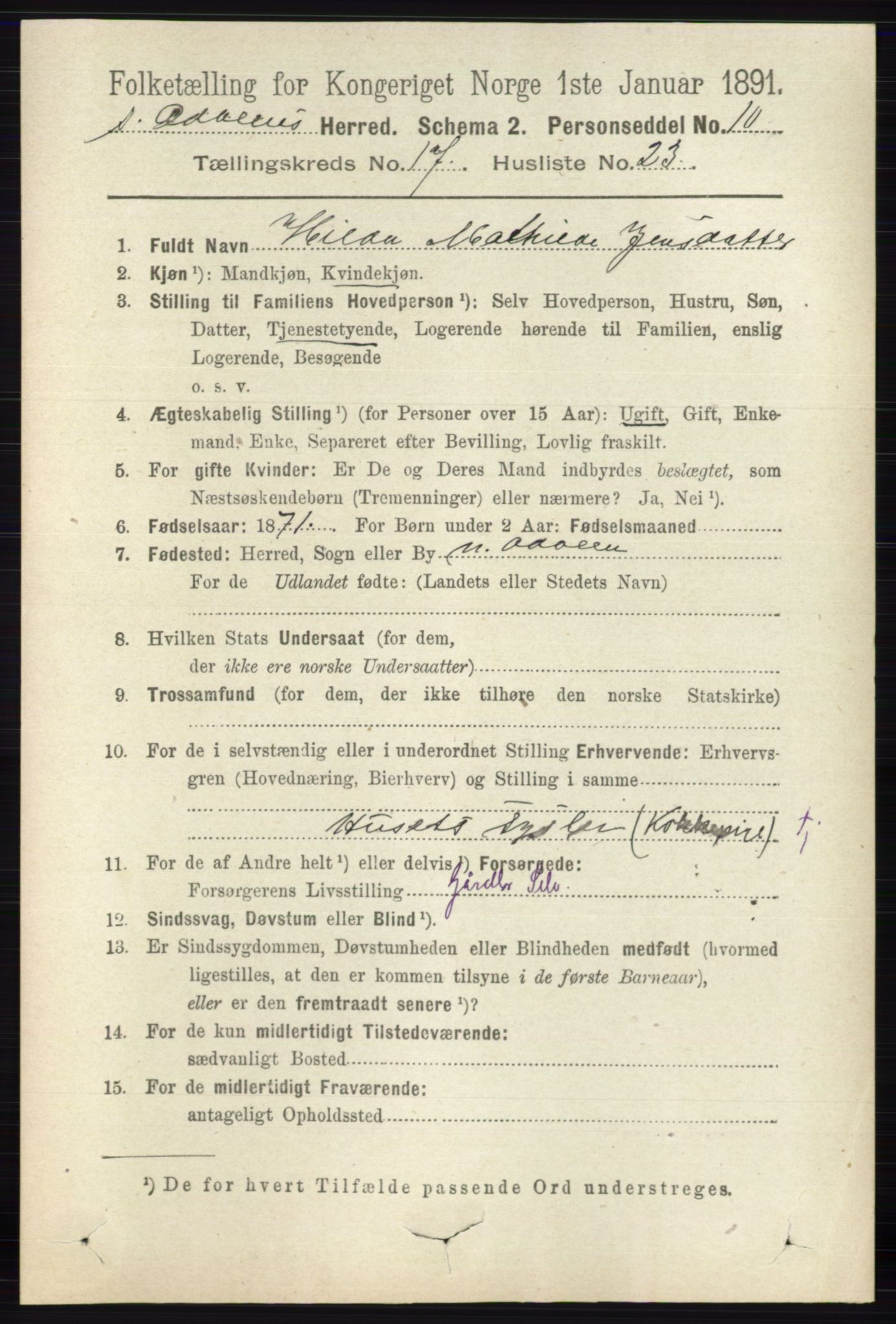 RA, 1891 census for 0419 Sør-Odal, 1891, p. 7998