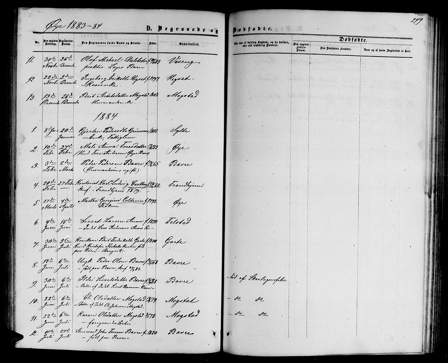 Ministerialprotokoller, klokkerbøker og fødselsregistre - Møre og Romsdal, SAT/A-1454/595/L1051: Parish register (copy) no. 595C03, 1866-1891, p. 249