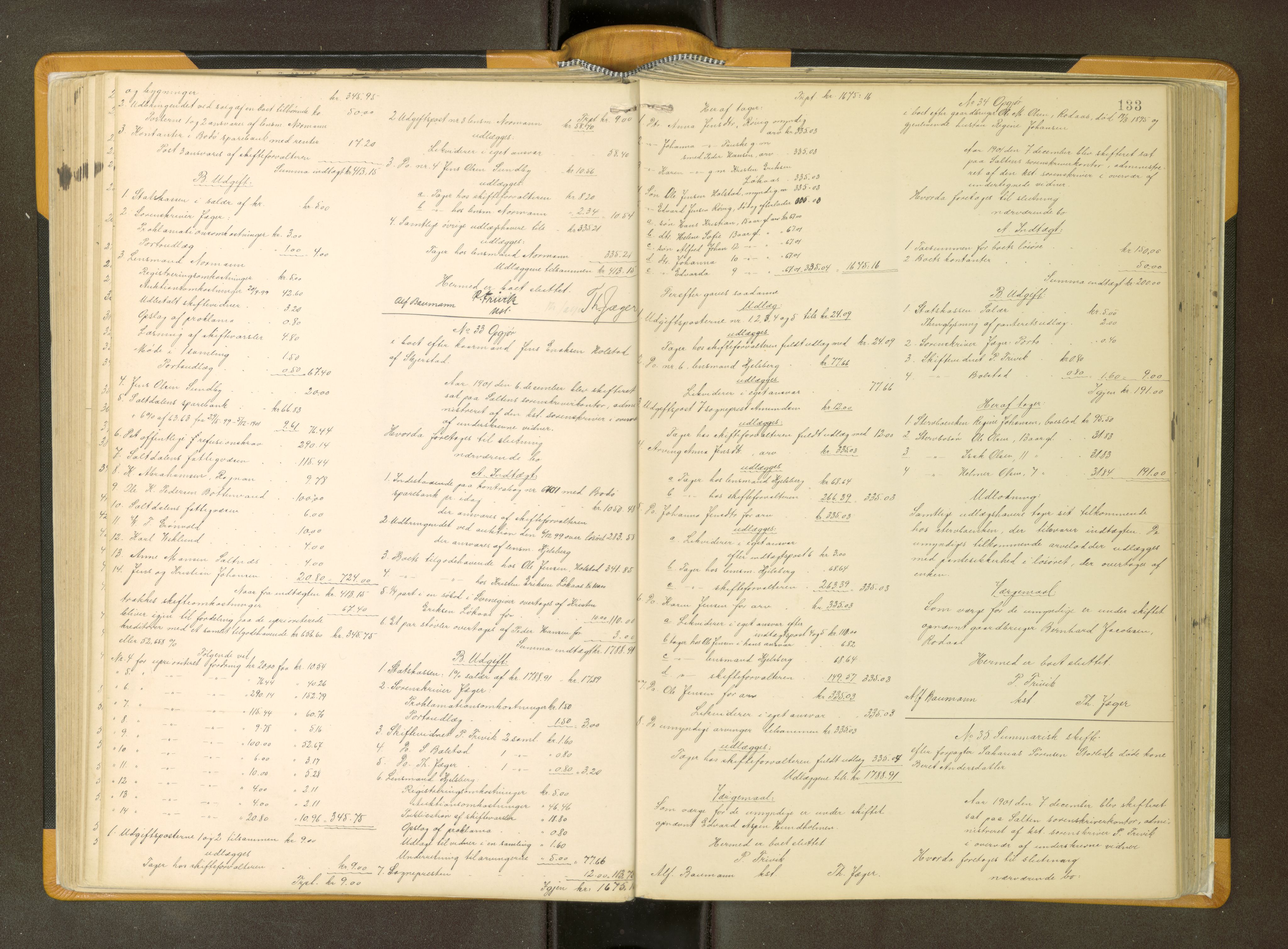 Salten sorenskriveri, AV/SAT-A-4578/1/3/3A/L0064: Skifteslutningsprotokoll, 1894-1912, p. 133