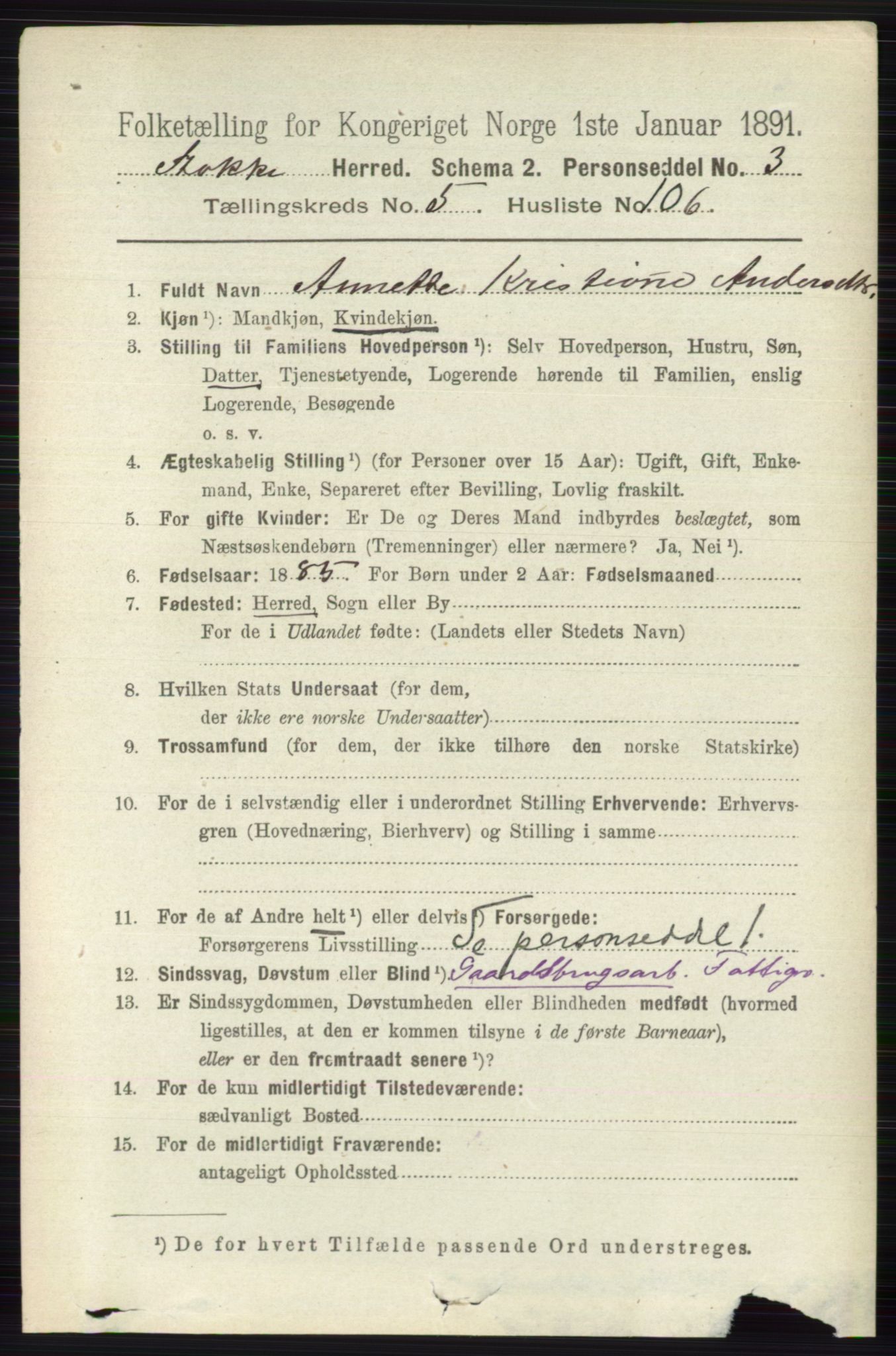 RA, 1891 census for 0720 Stokke, 1891, p. 3671