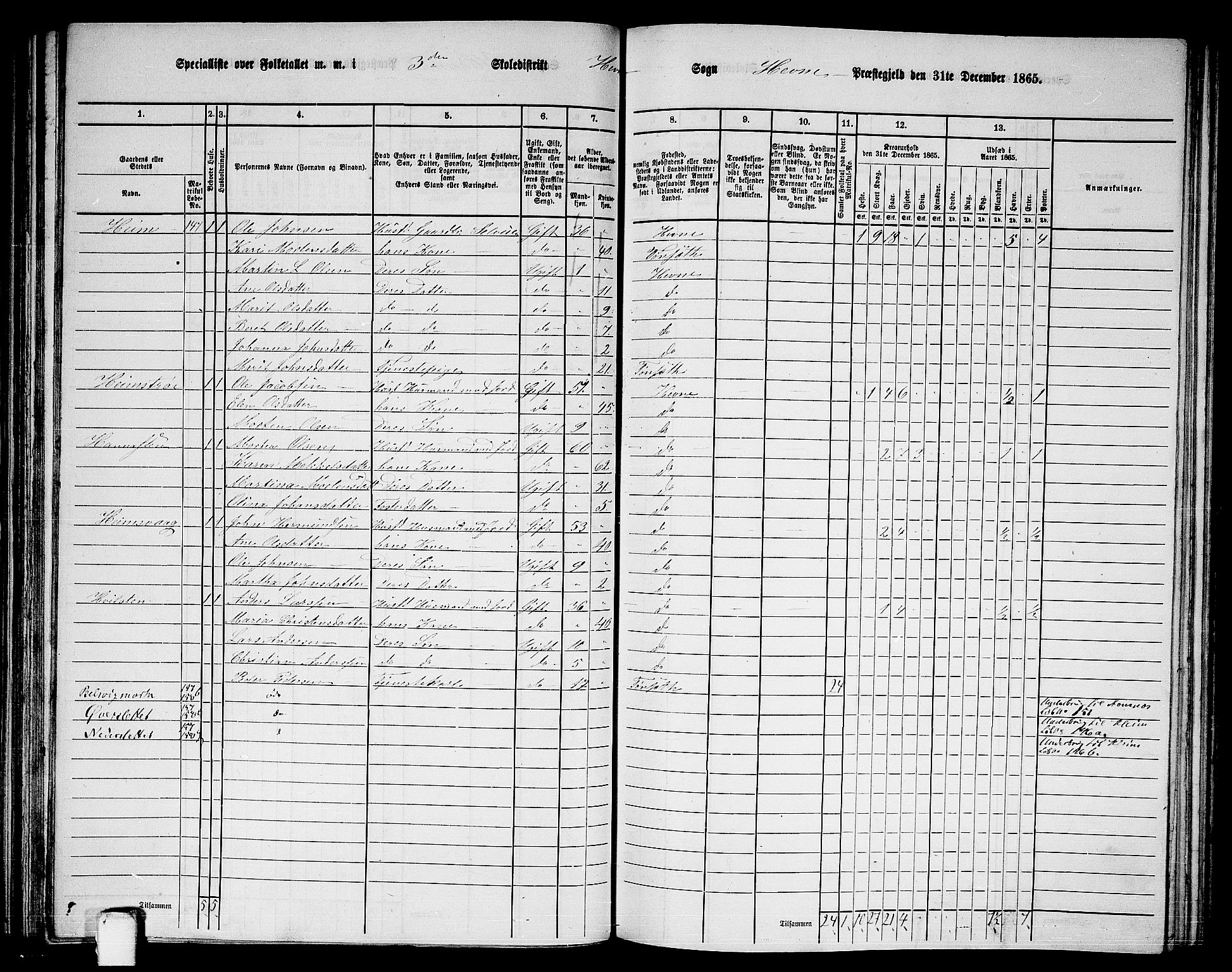 RA, 1865 census for Hemne, 1865, p. 78