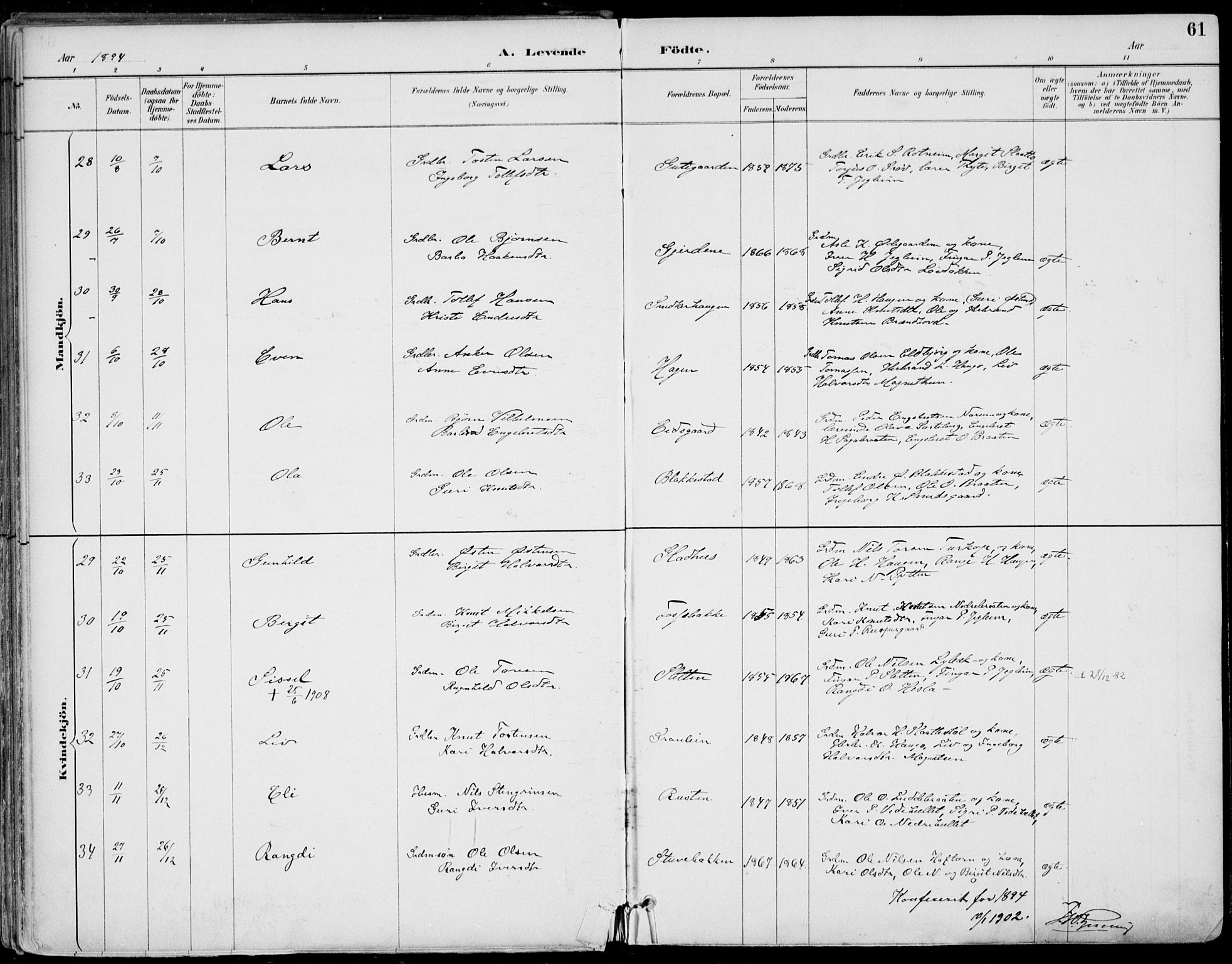 Gol kirkebøker, AV/SAKO-A-226/F/Fa/L0005: Parish register (official) no. I 5, 1887-1900, p. 61