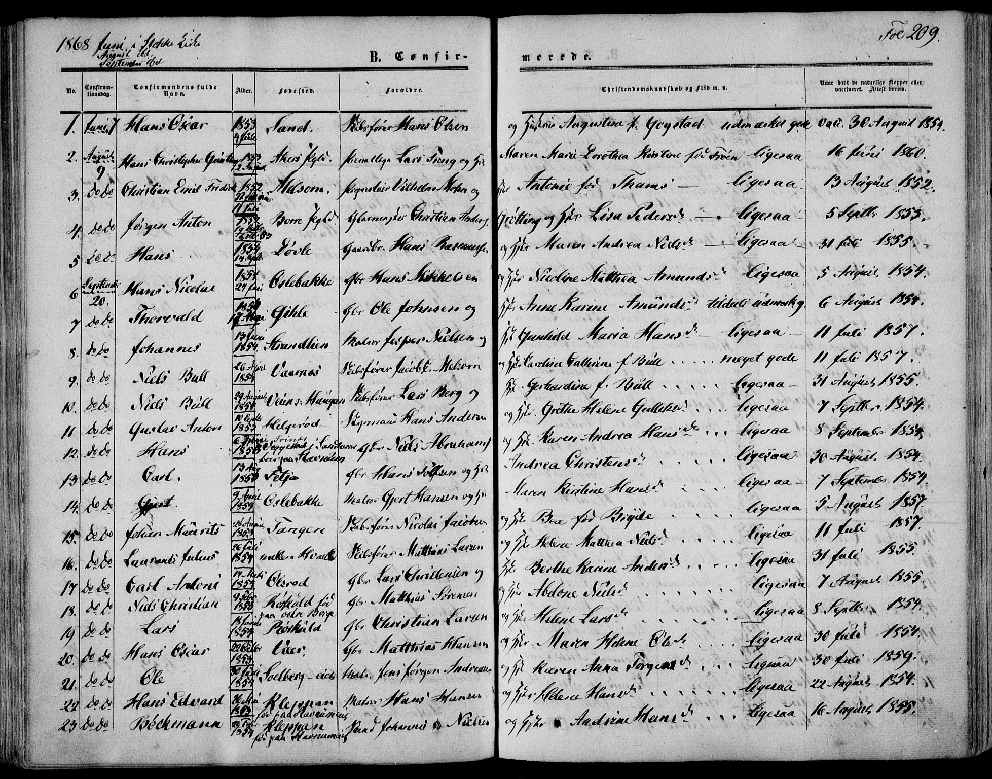 Stokke kirkebøker, SAKO/A-320/F/Fa/L0008: Parish register (official) no. I 8, 1858-1871, p. 209