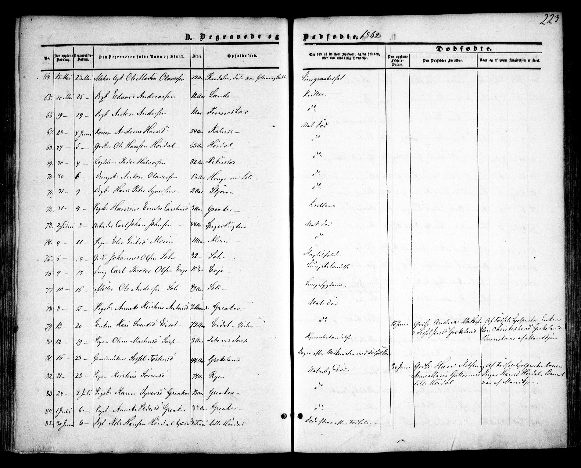 Tune prestekontor Kirkebøker, SAO/A-2007/F/Fa/L0013: Parish register (official) no. 13, 1859-1863, p. 223