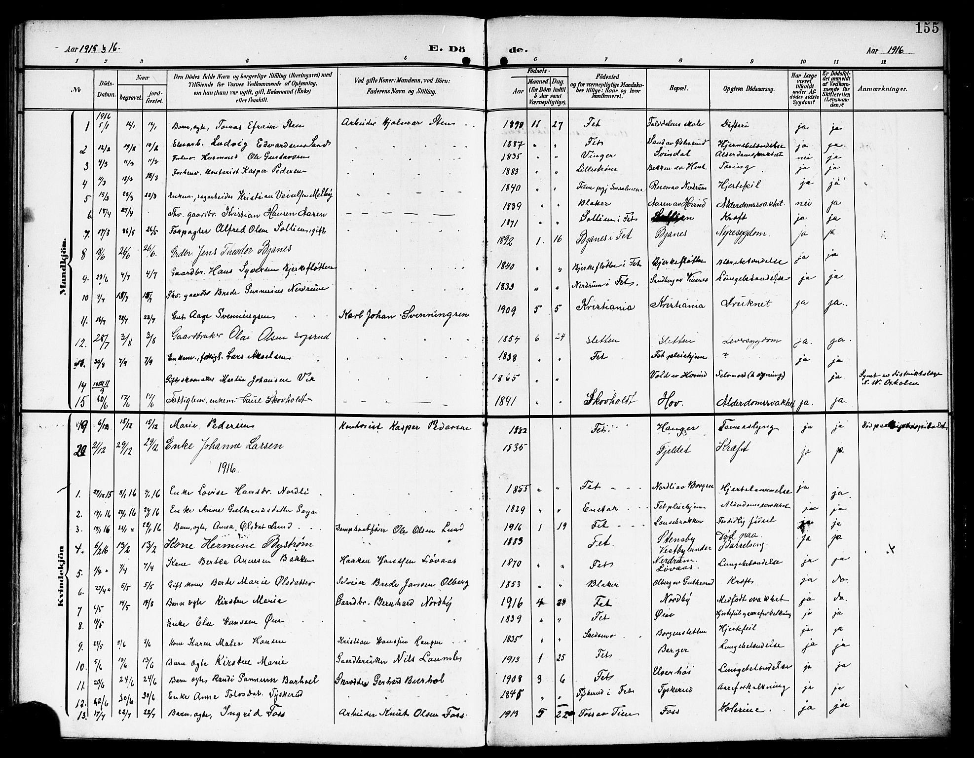 Fet prestekontor Kirkebøker, AV/SAO-A-10370a/G/Ga/L0008: Parish register (copy) no. I 8, 1907-1920, p. 155