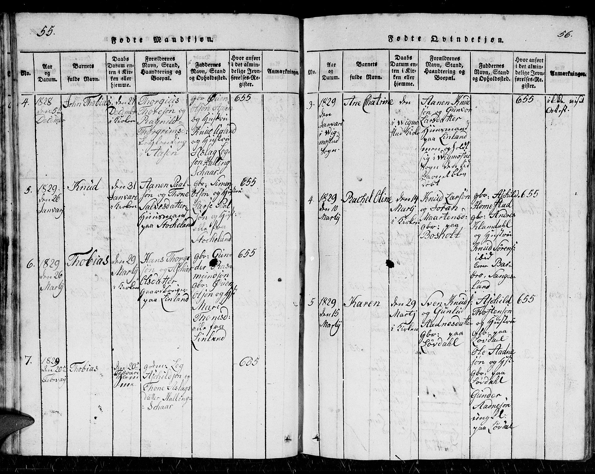 Holum sokneprestkontor, AV/SAK-1111-0022/F/Fb/Fbb/L0001: Parish register (copy) no. B 1, 1820-1847, p. 55-56