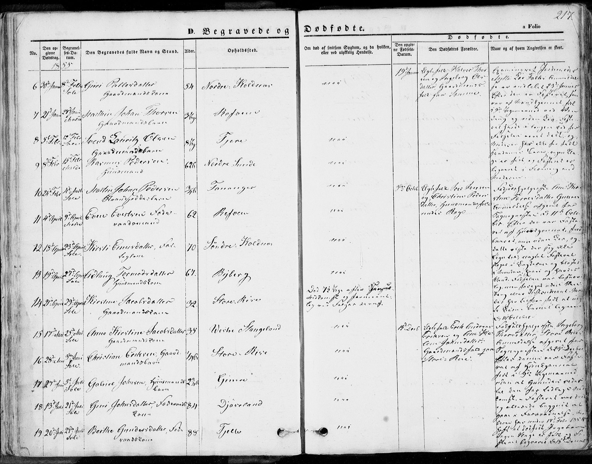 Håland sokneprestkontor, SAST/A-101802/001/30BA/L0008: Parish register (official) no. A 7.2, 1854-1870, p. 217