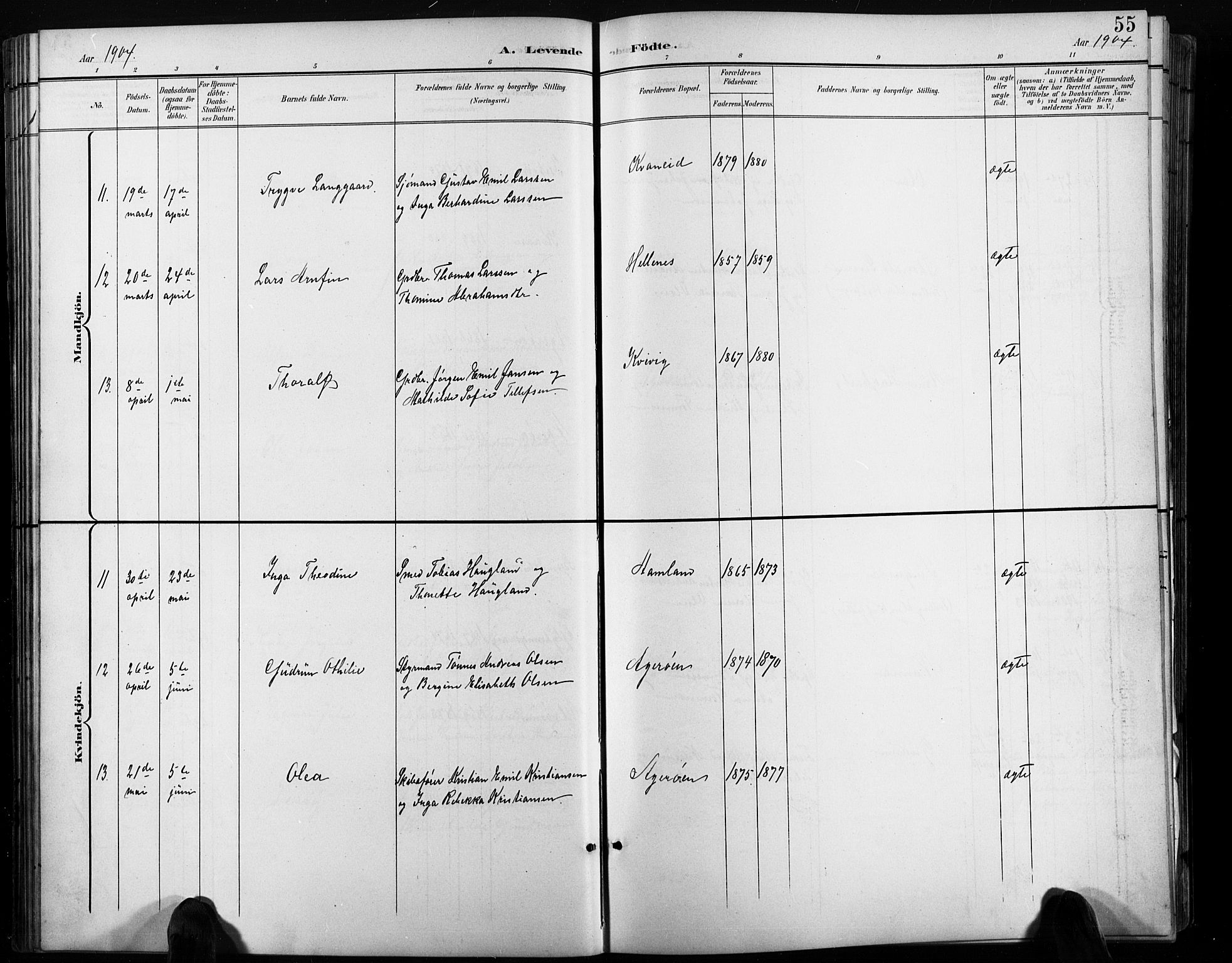 Høvåg sokneprestkontor, AV/SAK-1111-0025/F/Fb/L0005: Parish register (copy) no. B 5, 1898-1929, p. 55