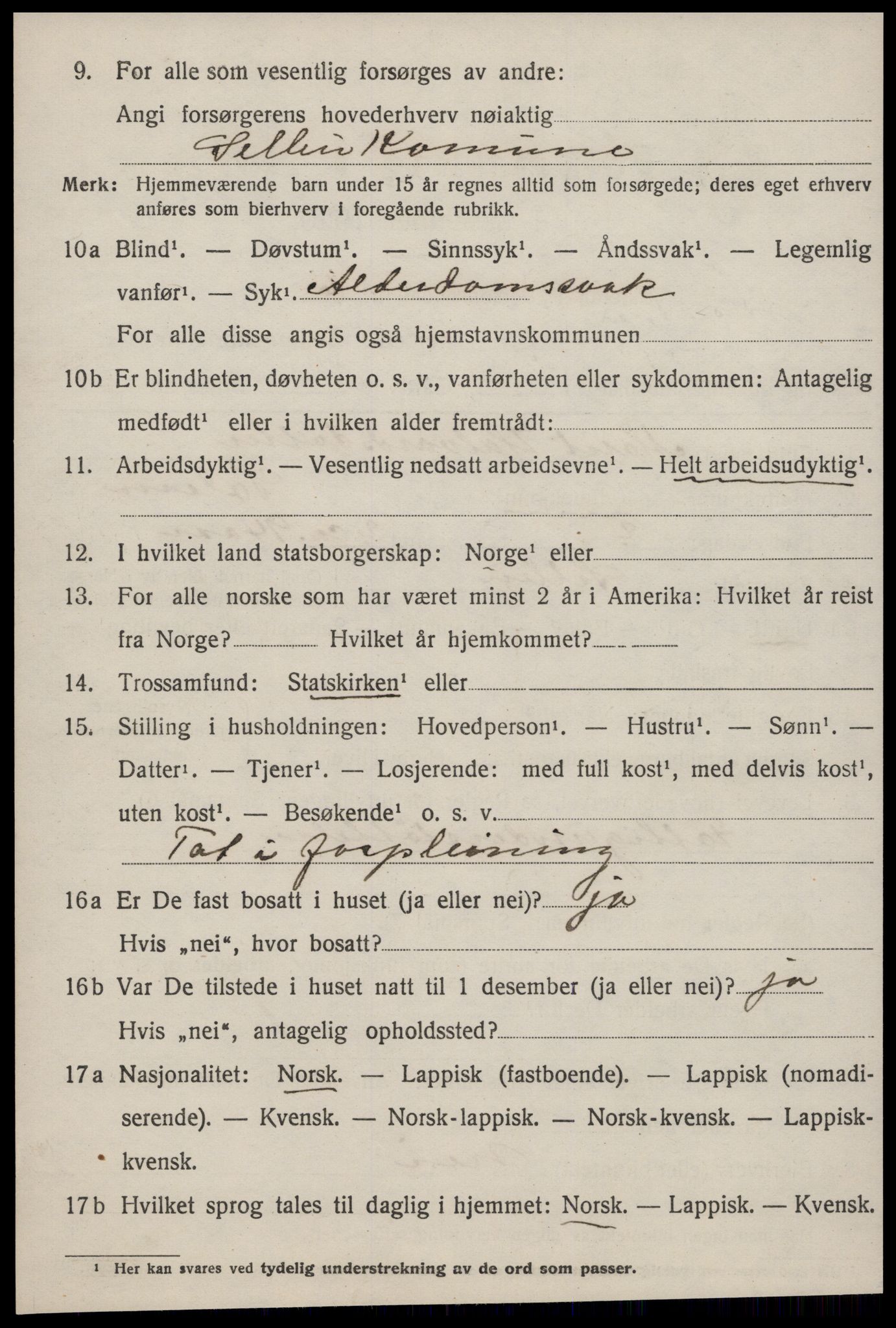 SAT, 1920 census for Selbu, 1920, p. 2763