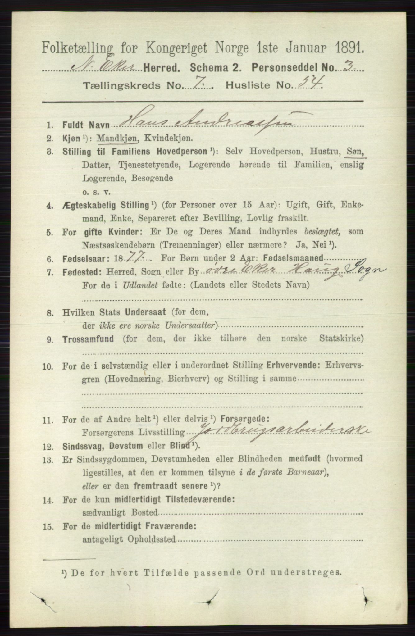 RA, 1891 census for 0625 Nedre Eiker, 1891, p. 3785