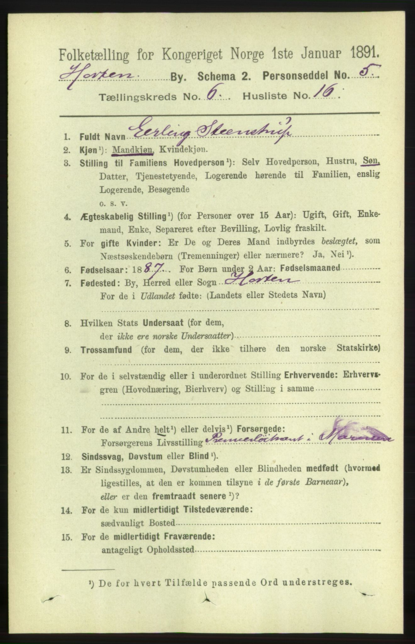 RA, 1891 census for 0703 Horten, 1891, p. 3895