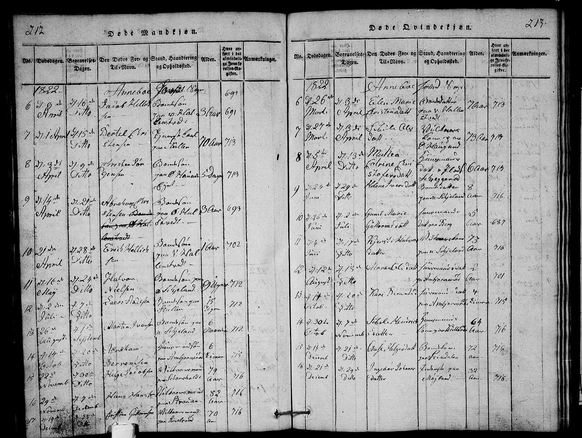 Andebu kirkebøker, AV/SAKO-A-336/G/Ga/L0001: Parish register (copy) no. I 1 /1, 1815-1823, p. 212-213