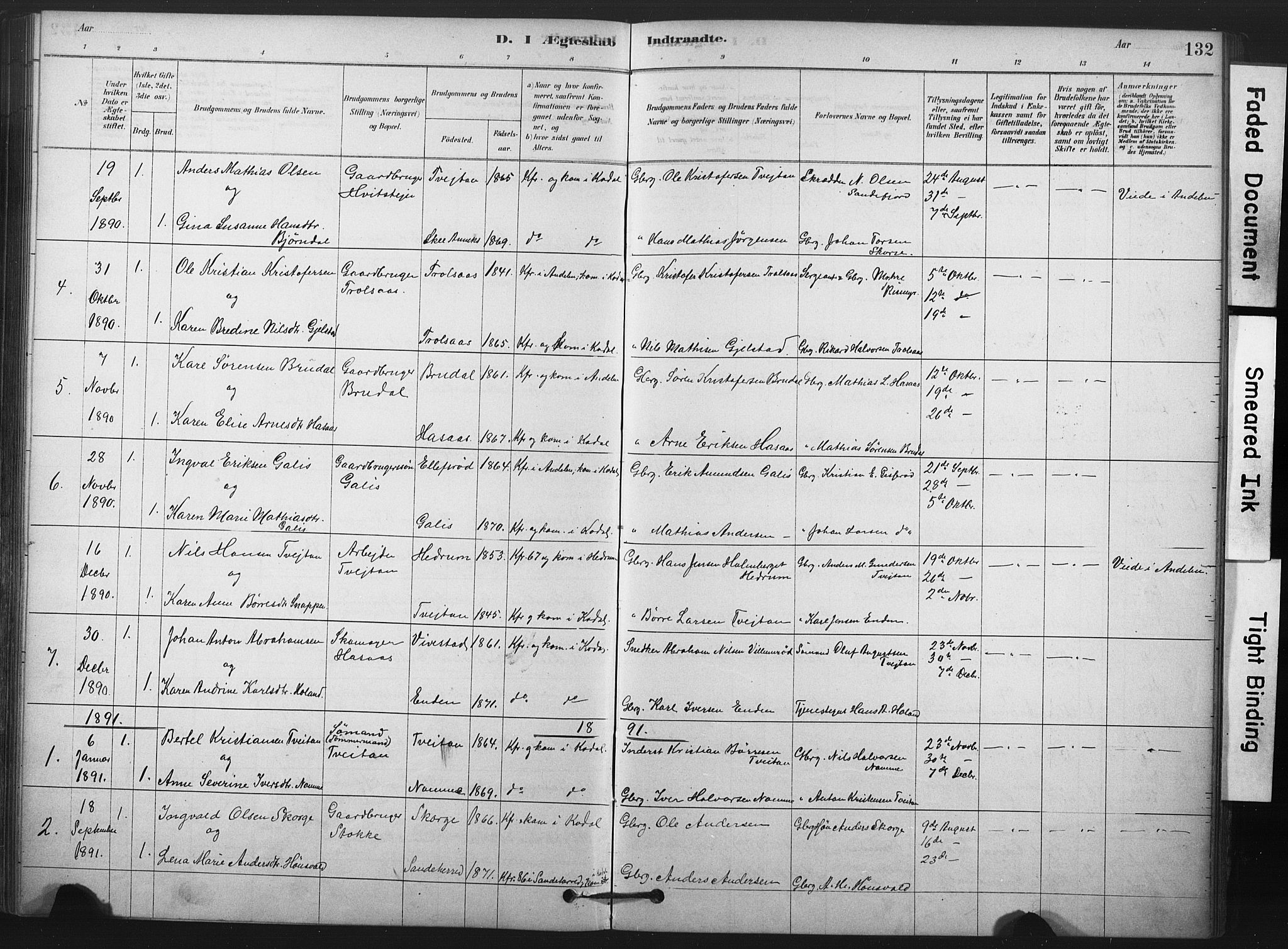 Andebu kirkebøker, AV/SAKO-A-336/F/Fa/L0008: Parish register (official) no. 8, 1878-1902, p. 132