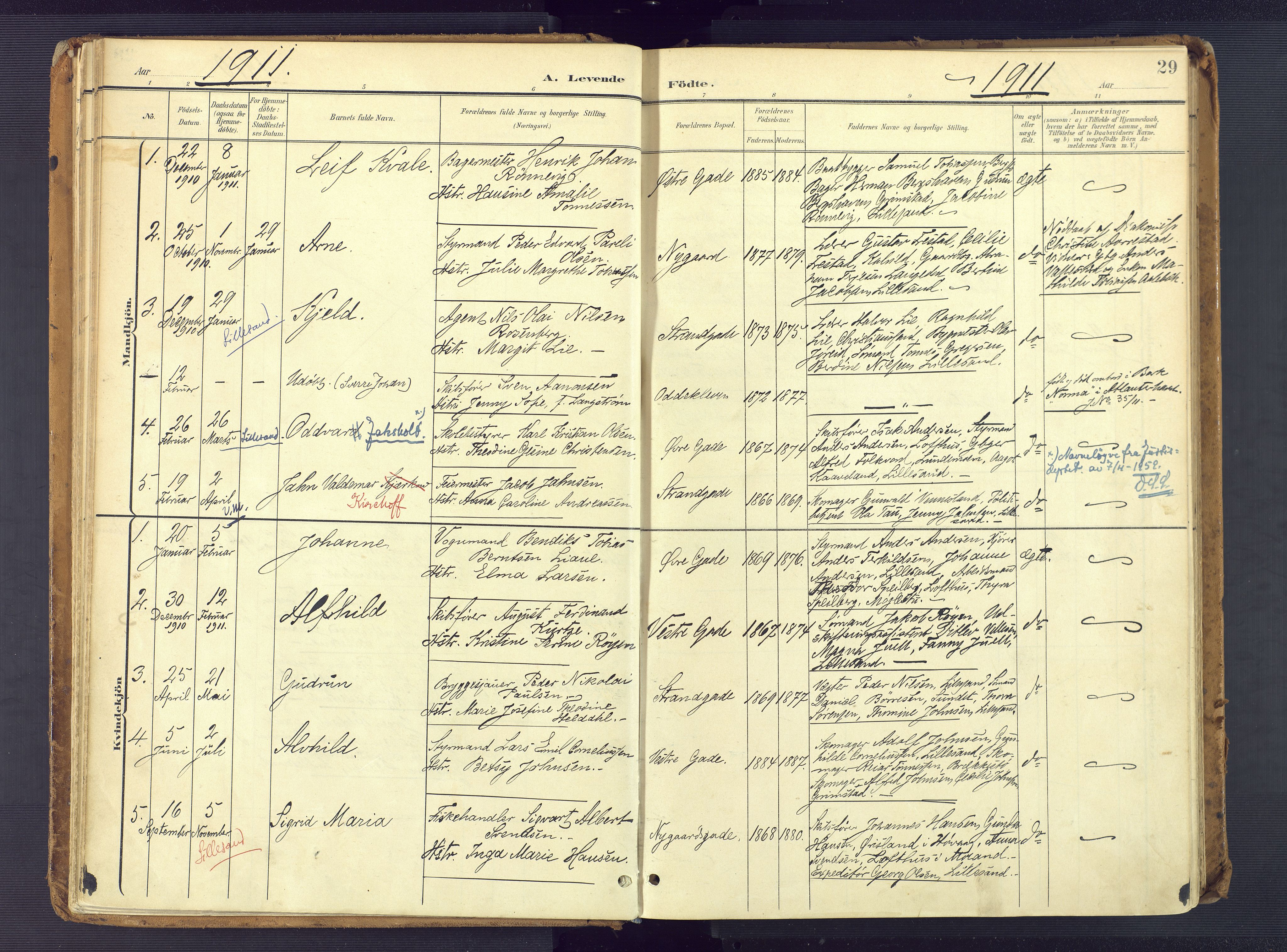 Vestre Moland sokneprestkontor, AV/SAK-1111-0046/F/Fa/Faa/L0002: Parish register (official) no. A 2, 1900-1926, p. 29