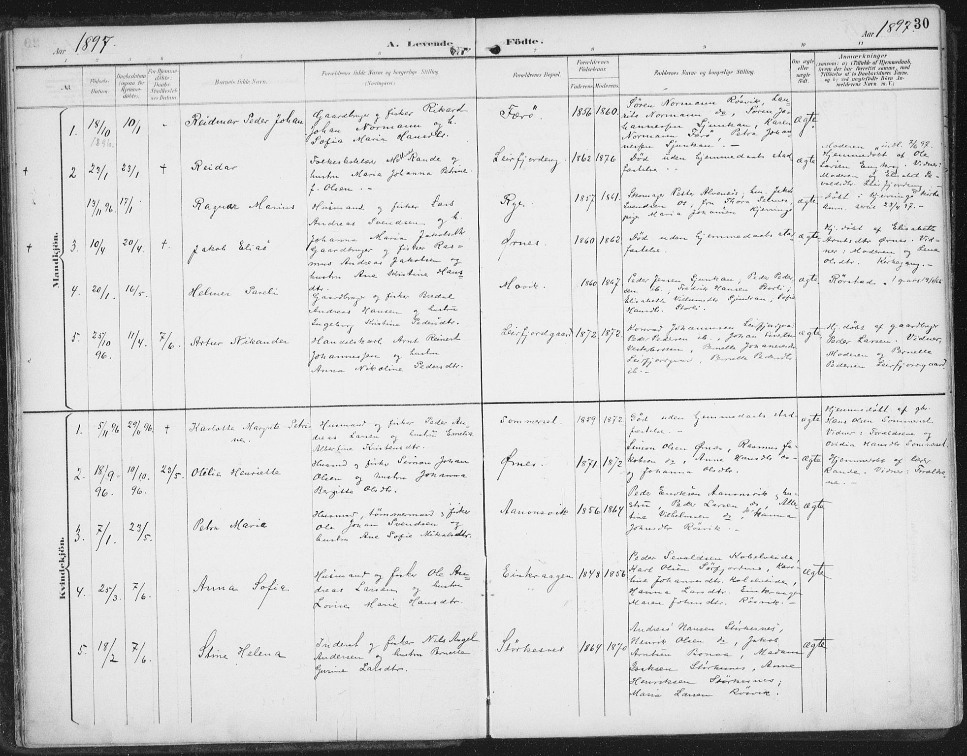 Ministerialprotokoller, klokkerbøker og fødselsregistre - Nordland, AV/SAT-A-1459/854/L0779: Parish register (official) no. 854A02, 1892-1909, p. 30