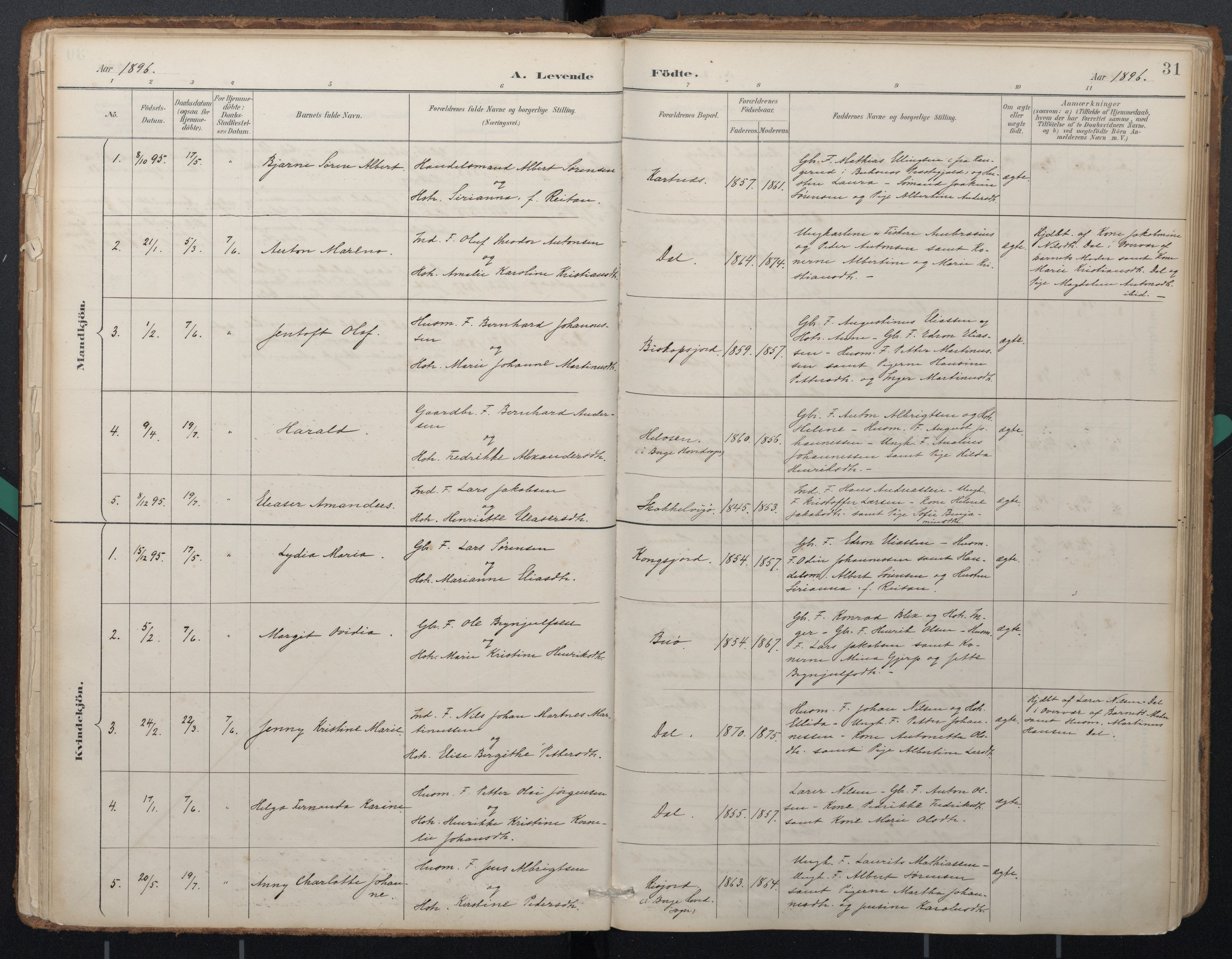 Ministerialprotokoller, klokkerbøker og fødselsregistre - Nordland, SAT/A-1459/884/L1193: Parish register (official) no. 884A01, 1888-1905, p. 31