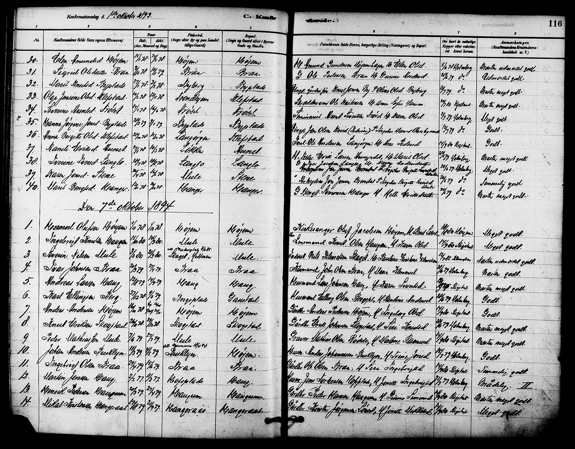 Ministerialprotokoller, klokkerbøker og fødselsregistre - Sør-Trøndelag, SAT/A-1456/612/L0378: Parish register (official) no. 612A10, 1878-1897, p. 116