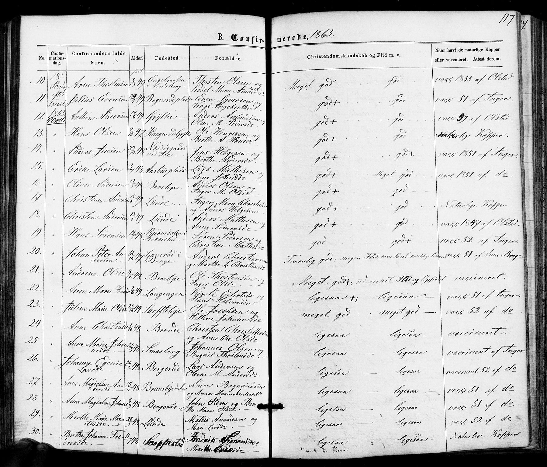 Varteig prestekontor Kirkebøker, SAO/A-10447a/F/Fa/L0001: Parish register (official) no. 1, 1861-1877, p. 117