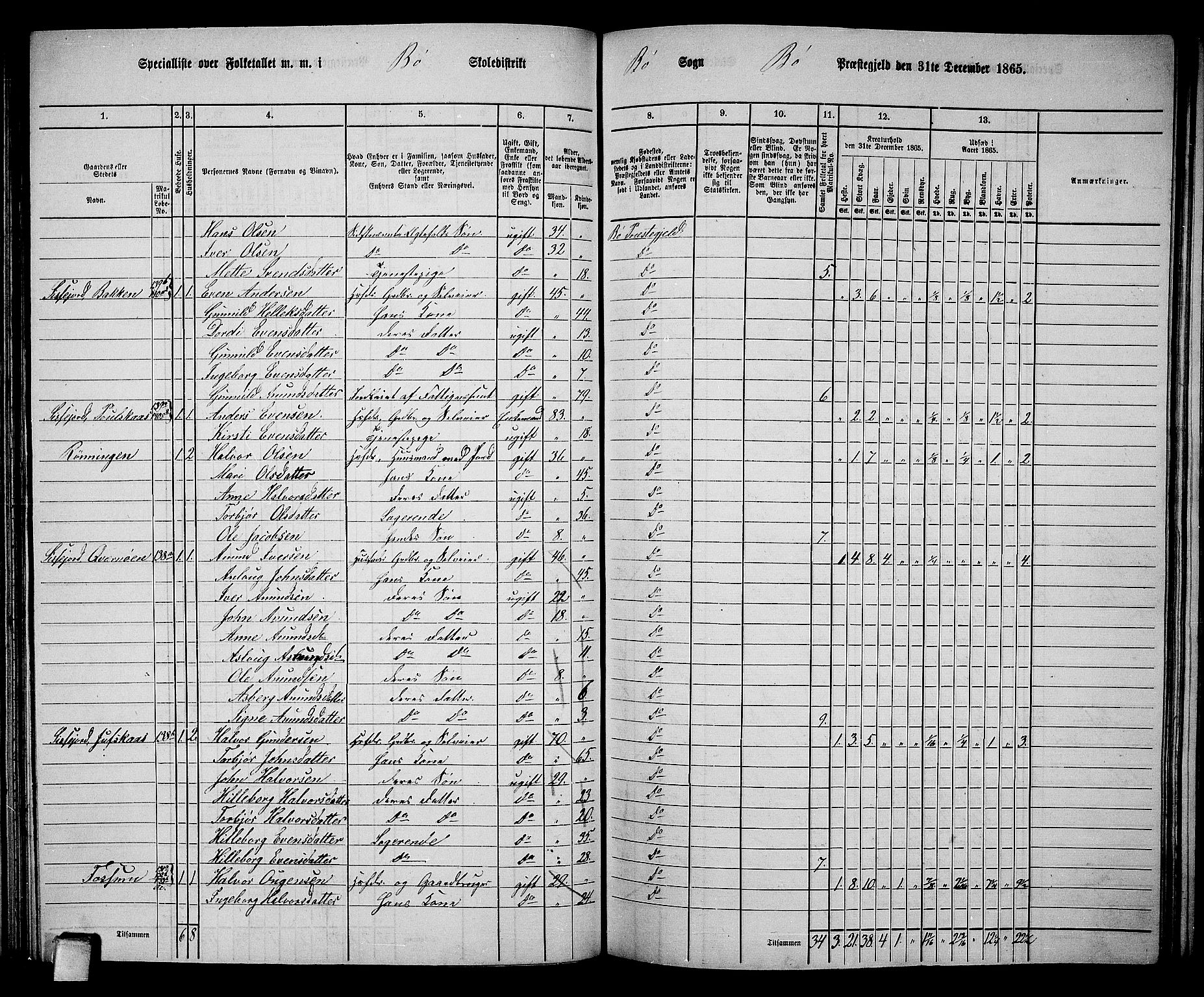 RA, 1865 census for Bø, 1865, p. 105