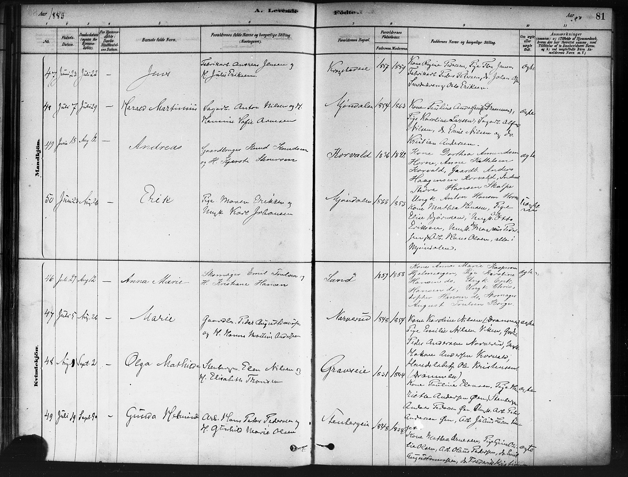 Nedre Eiker kirkebøker, AV/SAKO-A-612/F/Fa/L0002: Parish register (official) no. 2, 1878-1885, p. 81