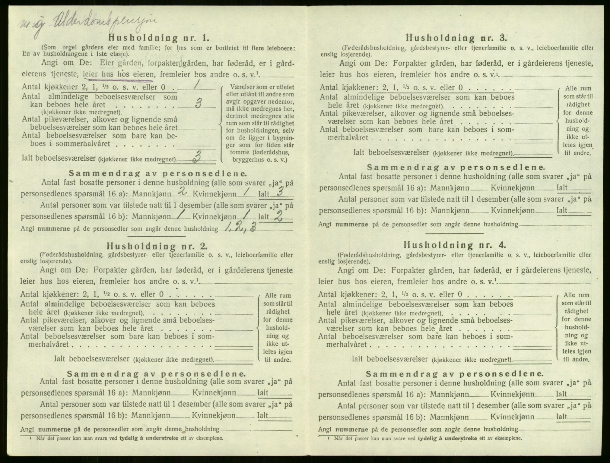 SAKO, 1920 census for Lier, 1920, p. 849