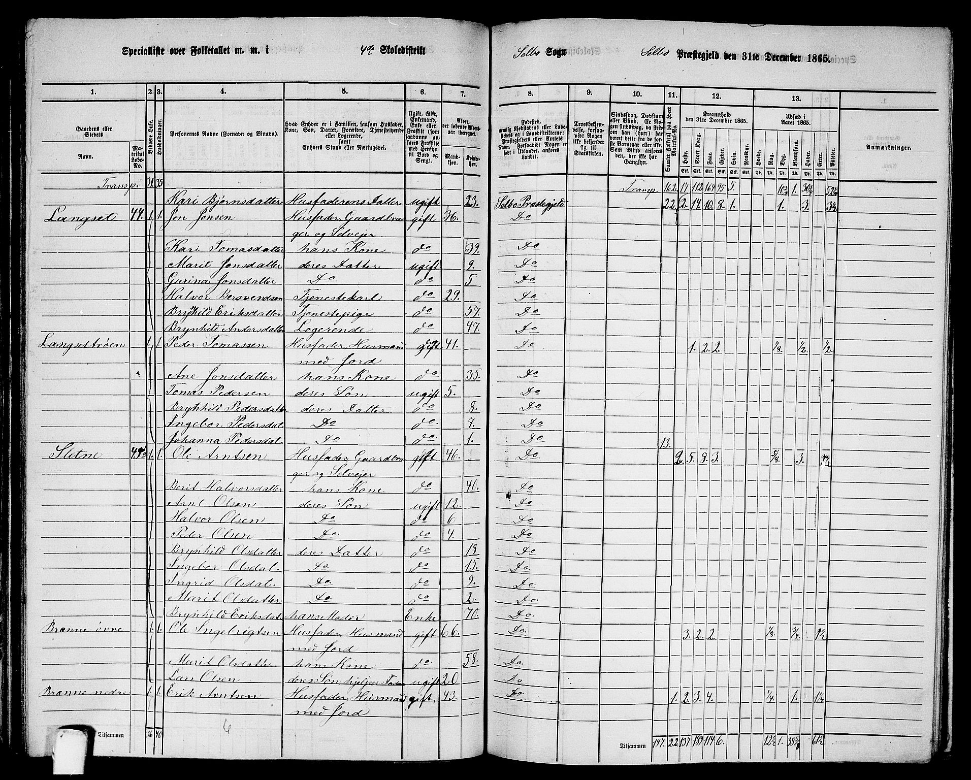 RA, 1865 census for Selbu, 1865, p. 56