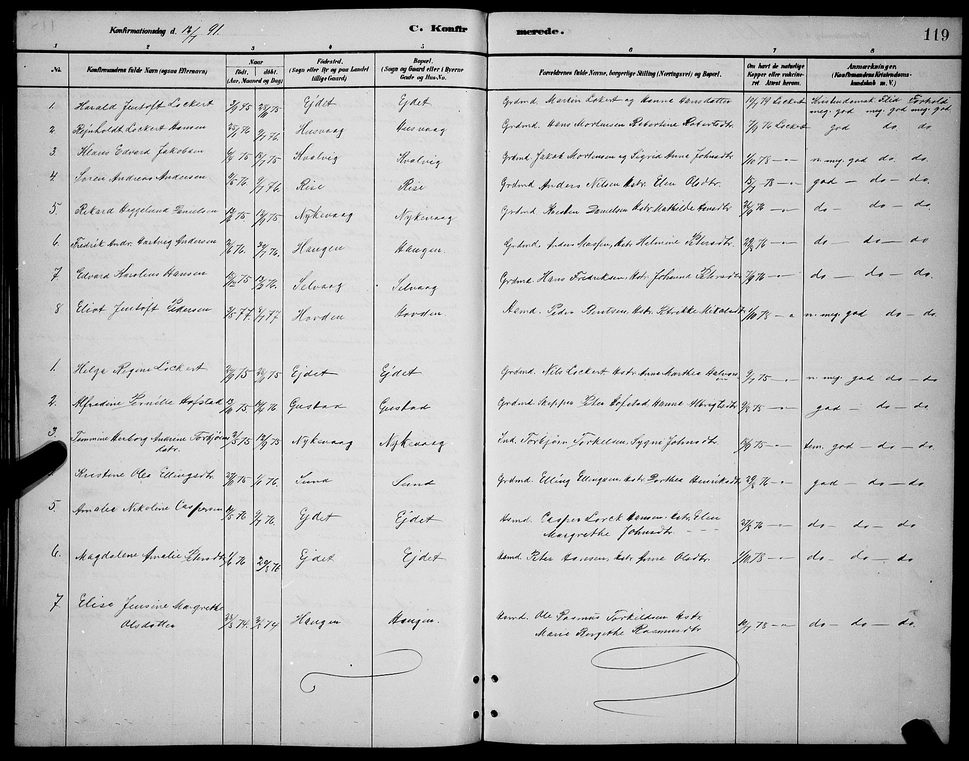 Ministerialprotokoller, klokkerbøker og fødselsregistre - Nordland, AV/SAT-A-1459/892/L1325: Parish register (copy) no. 892C02, 1878-1896, p. 119