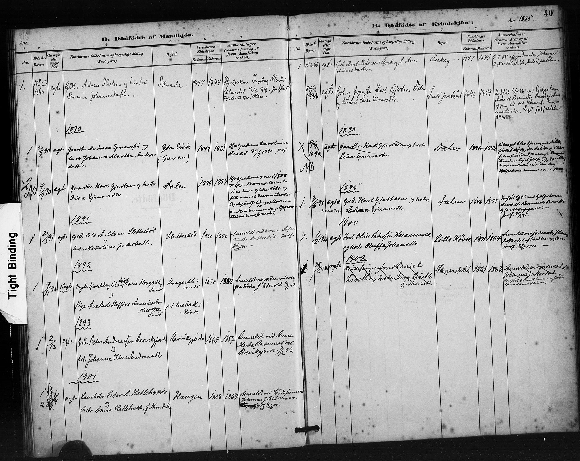 Ministerialprotokoller, klokkerbøker og fødselsregistre - Møre og Romsdal, AV/SAT-A-1454/504/L0056: Parish register (official) no. 504A03, 1884-1904, p. 40