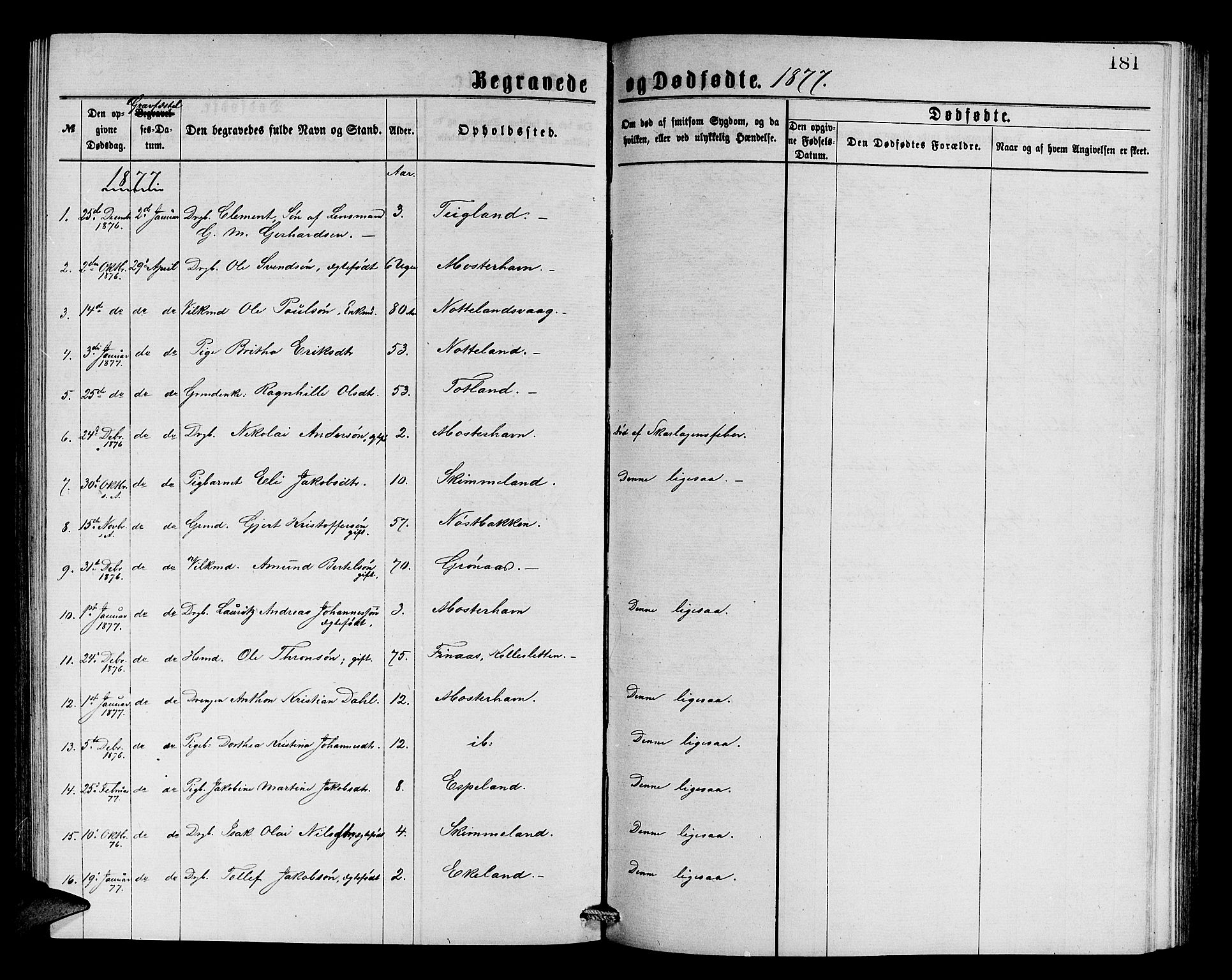 Finnås sokneprestembete, SAB/A-99925/H/Ha/Hab/Haba/L0002: Parish register (copy) no. A 2, 1873-1882, p. 181