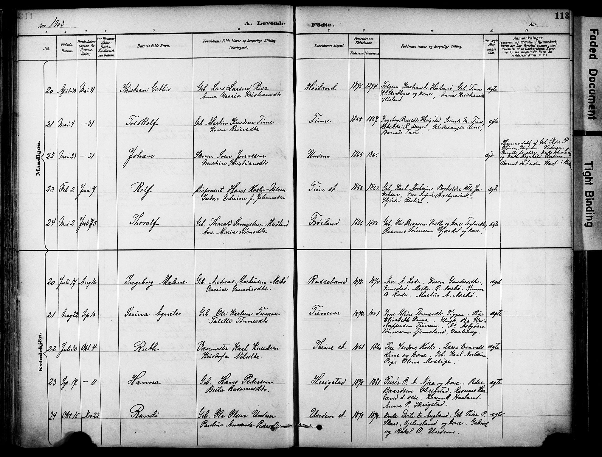 Lye sokneprestkontor, SAST/A-101794/001/30BA/L0011: Parish register (official) no. A 9, 1893-1903, p. 113