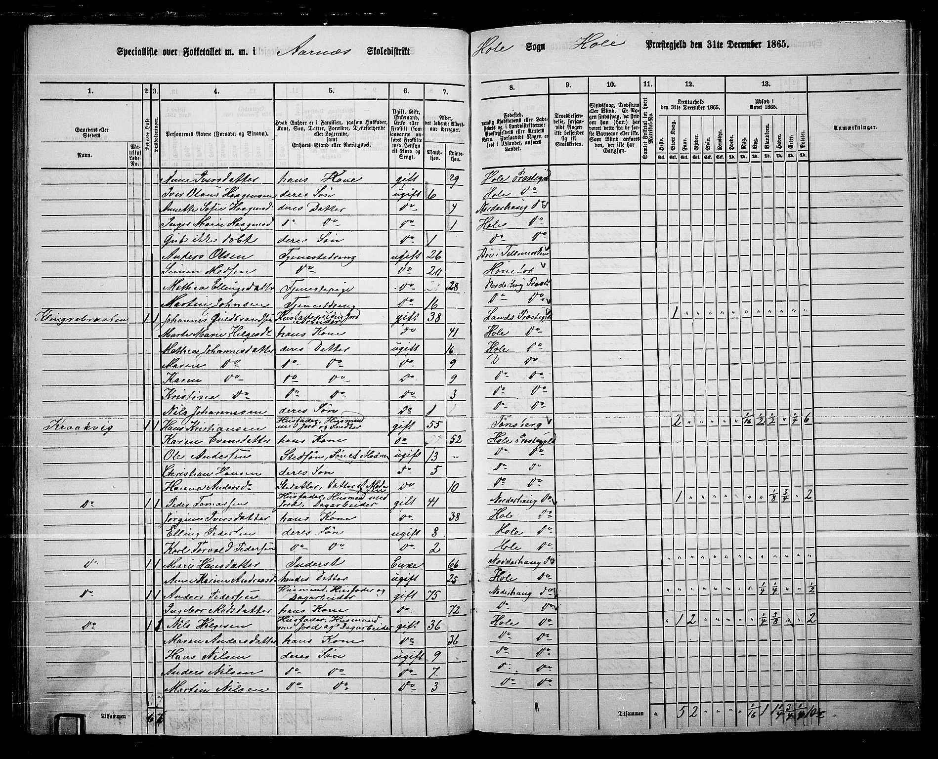 RA, 1865 census for Hole, 1865, p. 38