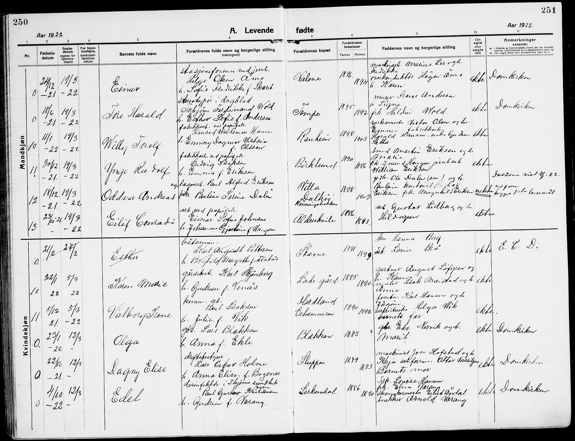 Ministerialprotokoller, klokkerbøker og fødselsregistre - Sør-Trøndelag, AV/SAT-A-1456/607/L0321: Parish register (official) no. 607A05, 1916-1935, p. 250-251