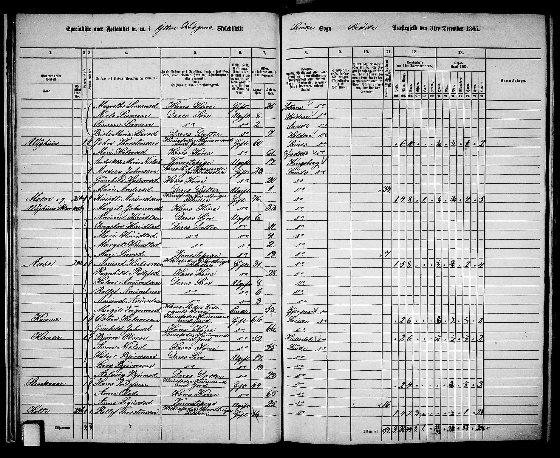 RA, 1865 census for Sauherad, 1865, p. 24