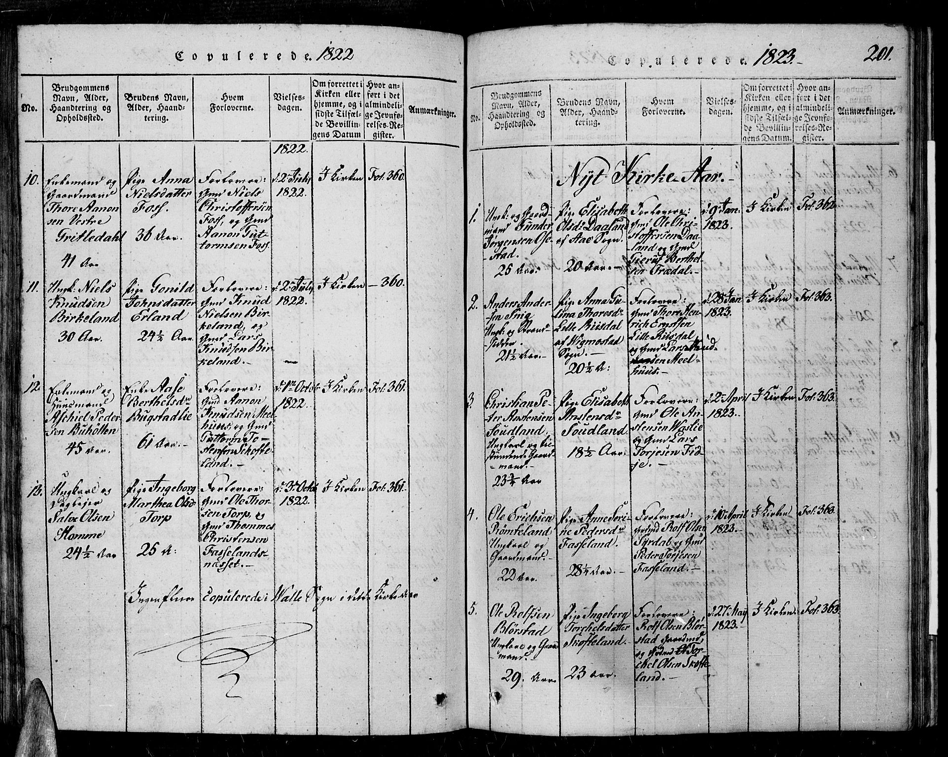 Sør-Audnedal sokneprestkontor, AV/SAK-1111-0039/F/Fa/Fab/L0005: Parish register (official) no. A 5, 1816-1830, p. 201