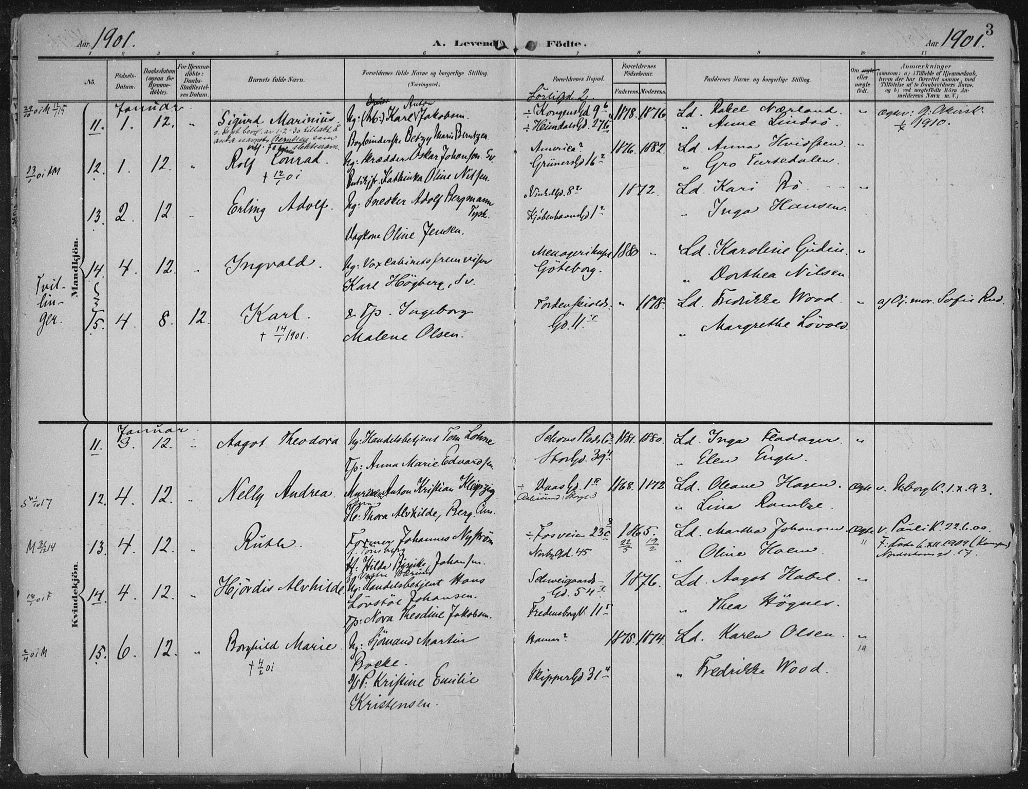 Rikshospitalet prestekontor Kirkebøker, AV/SAO-A-10309b/F/L0012: Parish register (official) no. 12, 1901-1904, p. 3