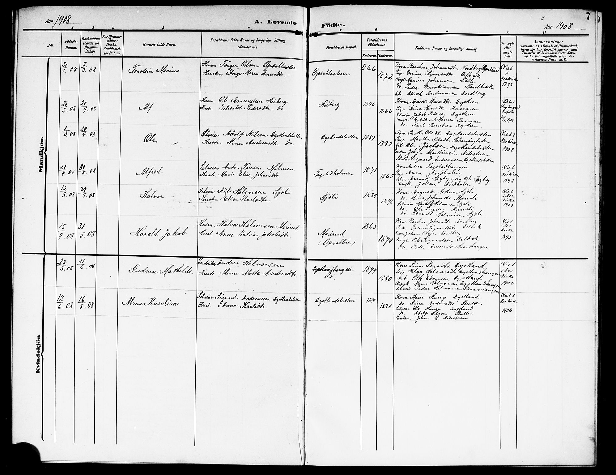 Nes prestekontor Kirkebøker, AV/SAO-A-10410/G/Gd/L0001: Parish register (copy) no. IV 1, 1907-1922, p. 7