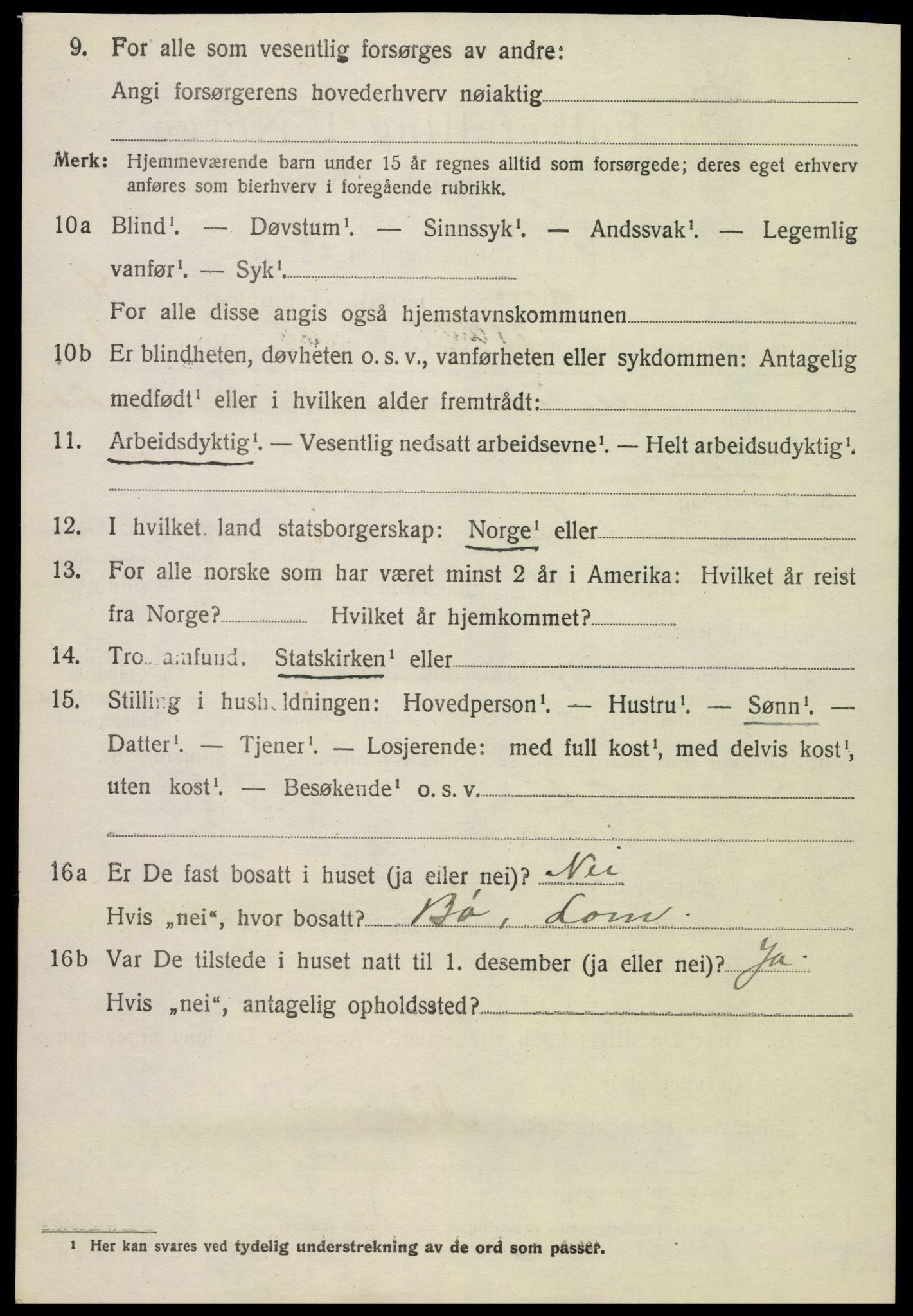 SAH, 1920 census for Lom, 1920, p. 2865