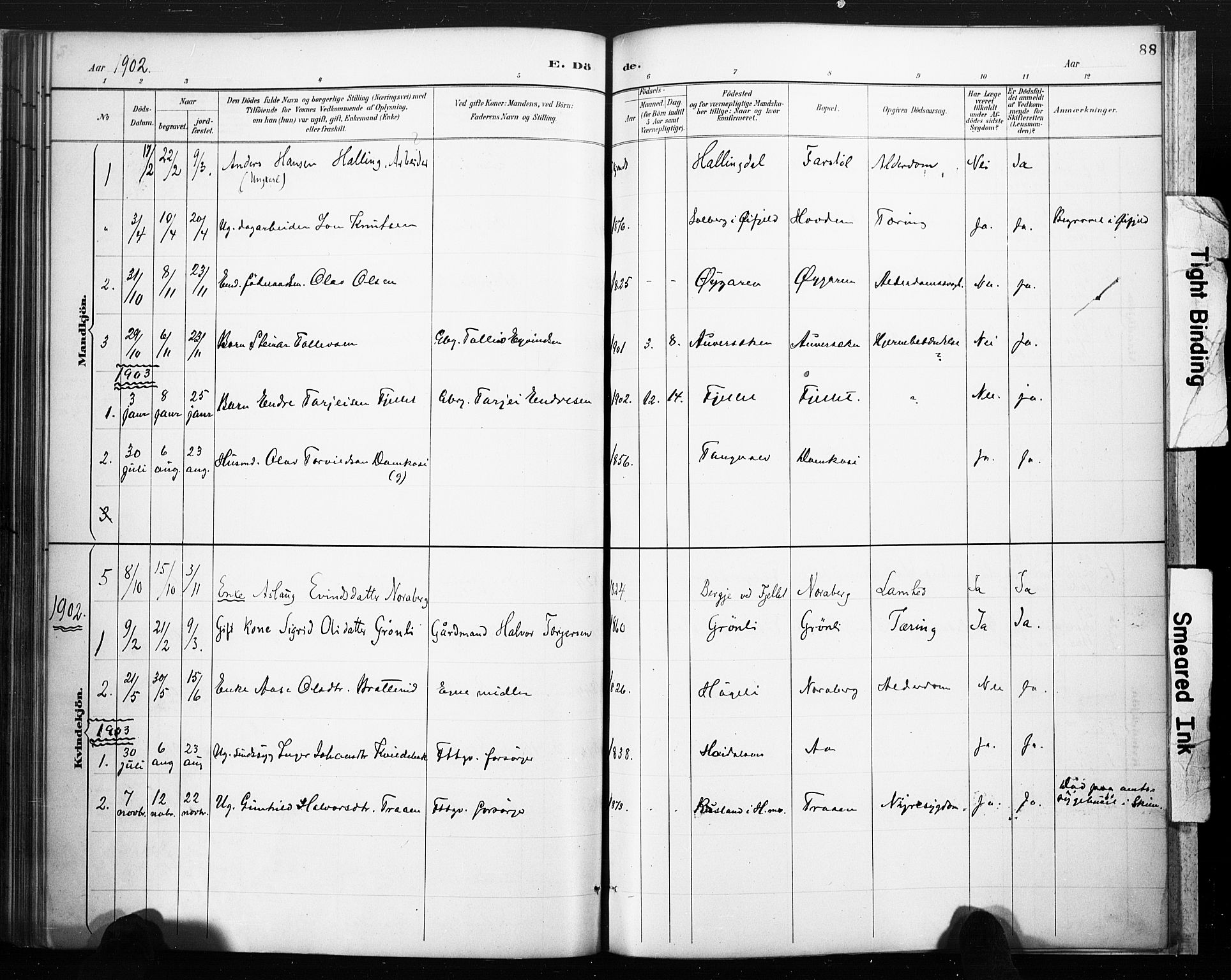 Lårdal kirkebøker, SAKO/A-284/F/Fc/L0002: Parish register (official) no. III 2, 1887-1906, p. 88