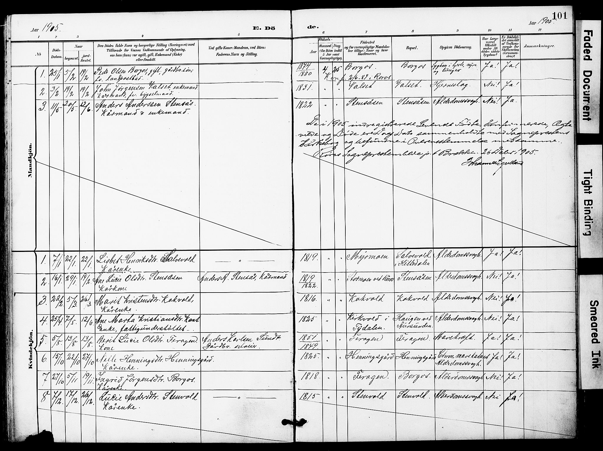 Ministerialprotokoller, klokkerbøker og fødselsregistre - Sør-Trøndelag, SAT/A-1456/683/L0950: Parish register (copy) no. 683C02, 1897-1918, p. 101