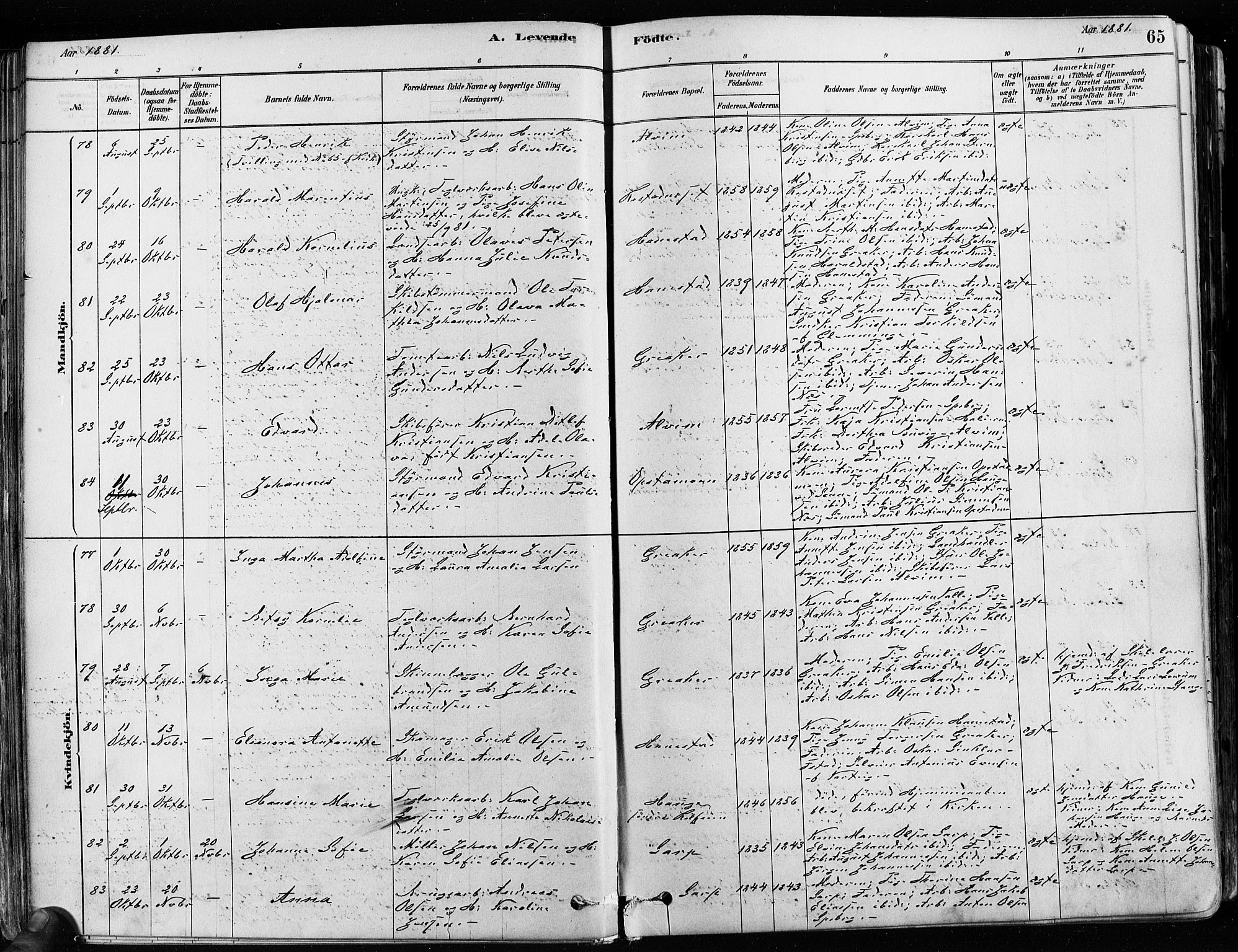Tune prestekontor Kirkebøker, SAO/A-2007/F/Fa/L0017: Parish register (official) no. 17, 1878-1887, p. 65