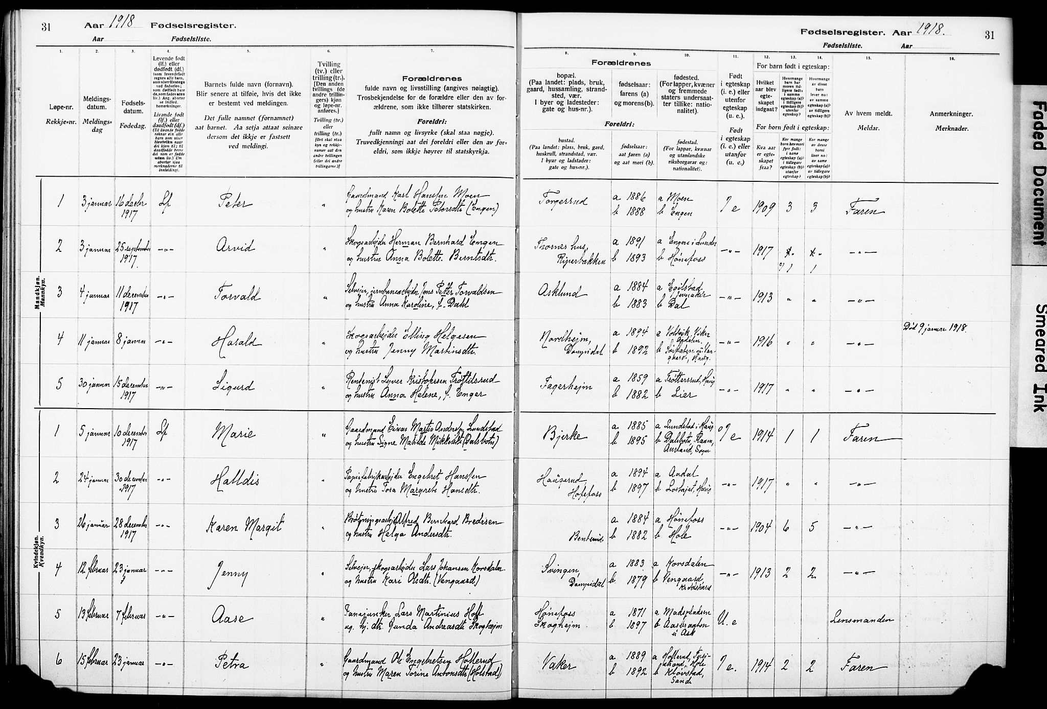 Norderhov kirkebøker, AV/SAKO-A-237/J/Ja/L0001: Birth register no. 1, 1916-1930, p. 31