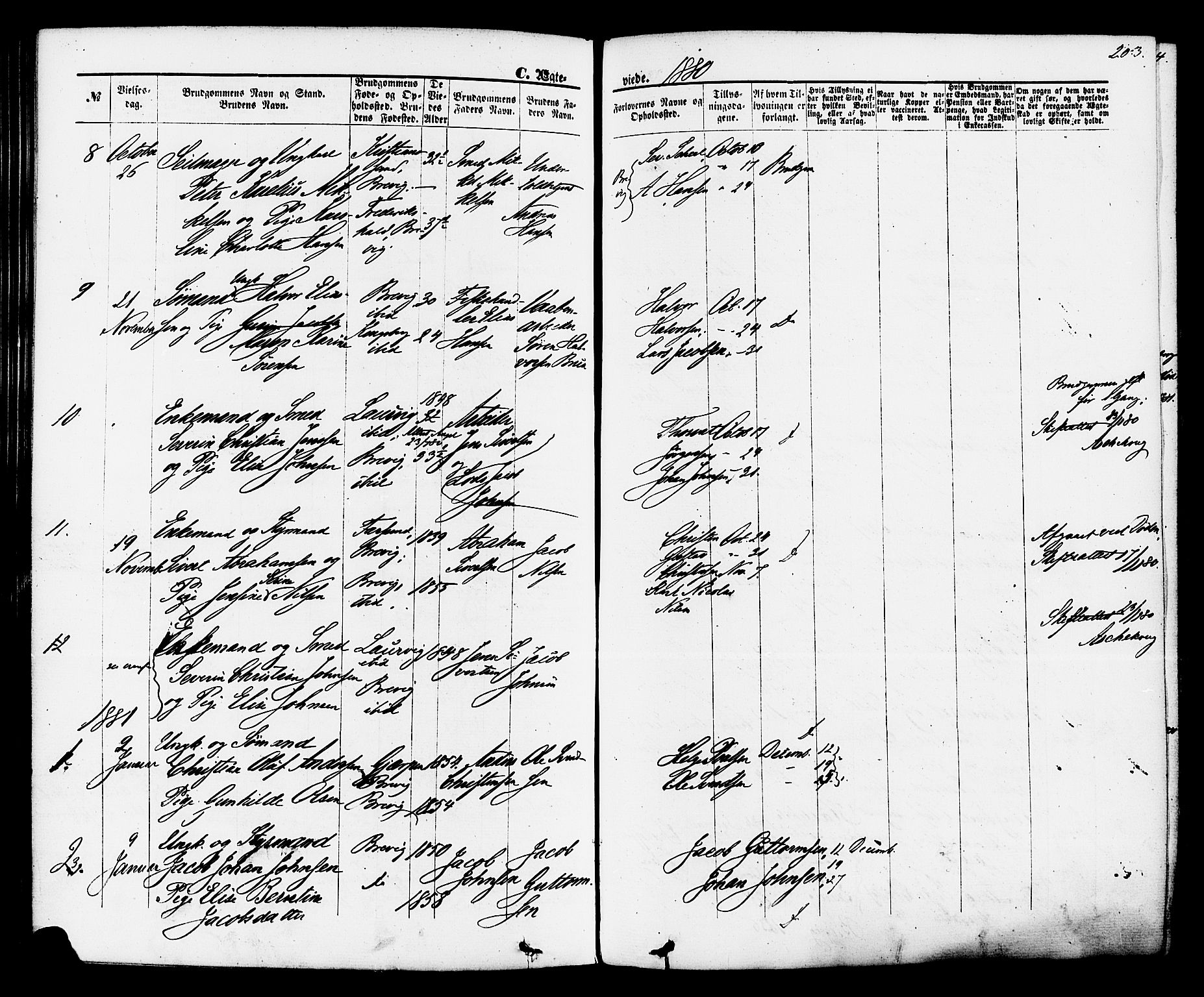Brevik kirkebøker, SAKO/A-255/F/Fa/L0006: Parish register (official) no. 6, 1866-1881, p. 203