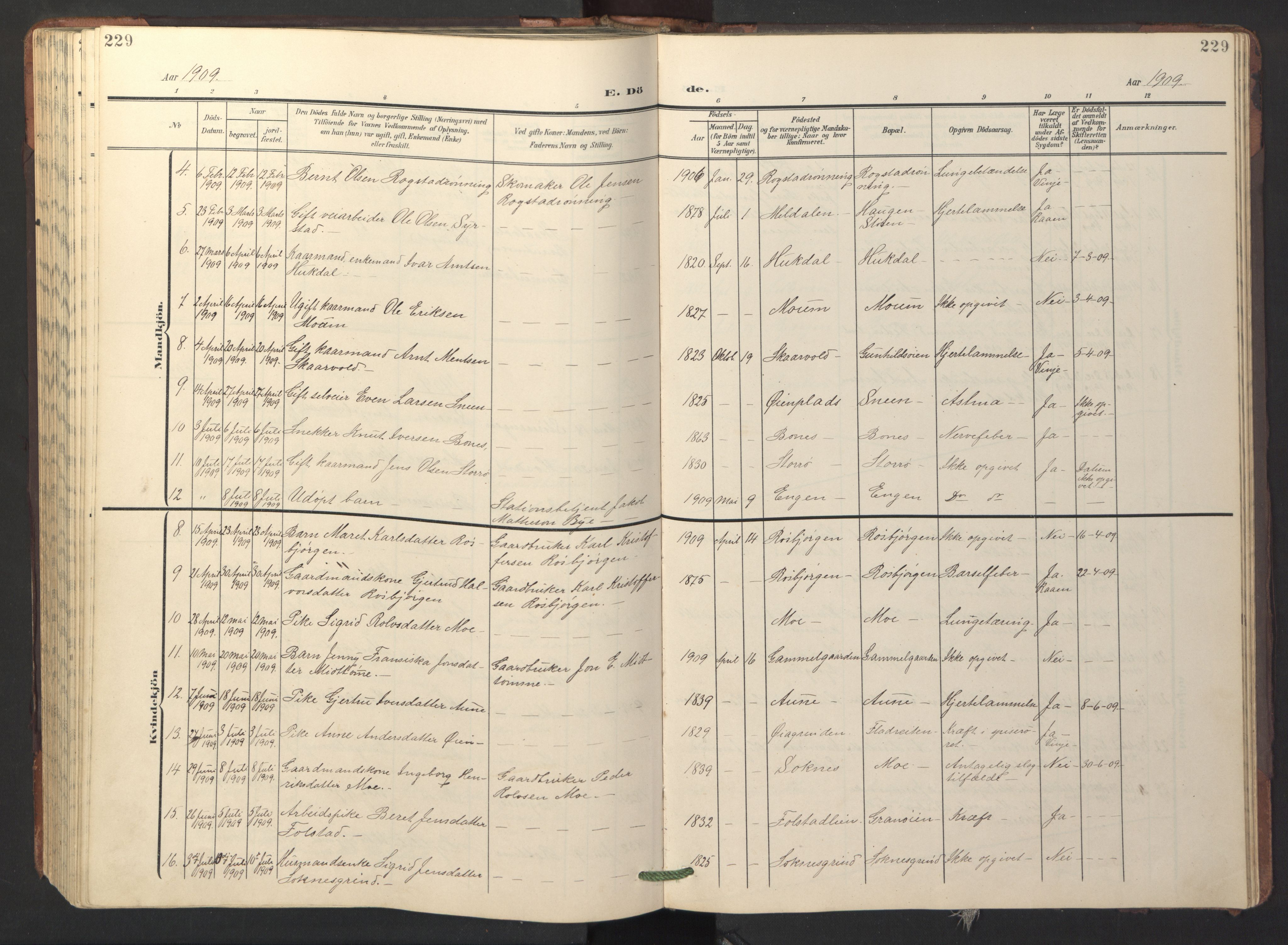 Ministerialprotokoller, klokkerbøker og fødselsregistre - Sør-Trøndelag, AV/SAT-A-1456/687/L1019: Parish register (copy) no. 687C03, 1904-1931, p. 229