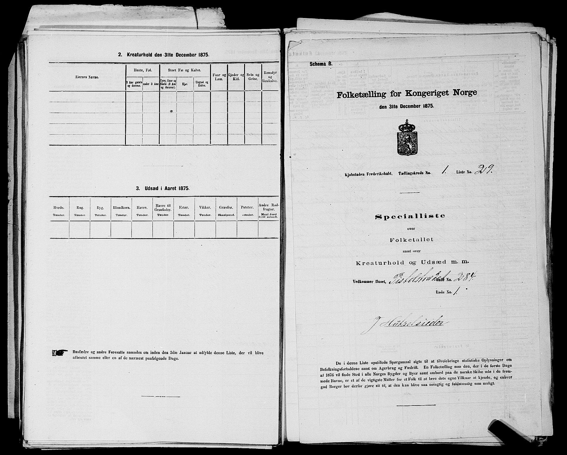 RA, 1875 census for 0101P Fredrikshald, 1875, p. 81