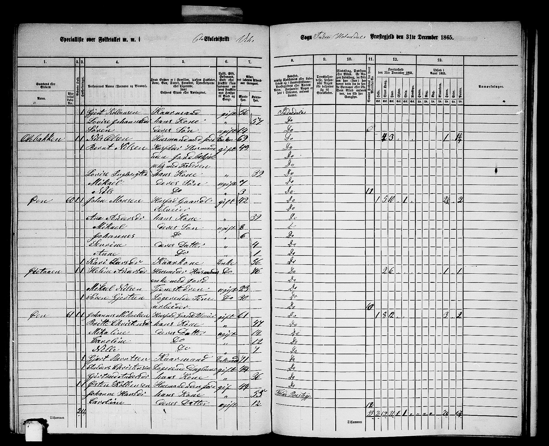 RA, 1865 census for Indre Holmedal, 1865, p. 137